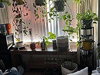 Review Image by Tiffny