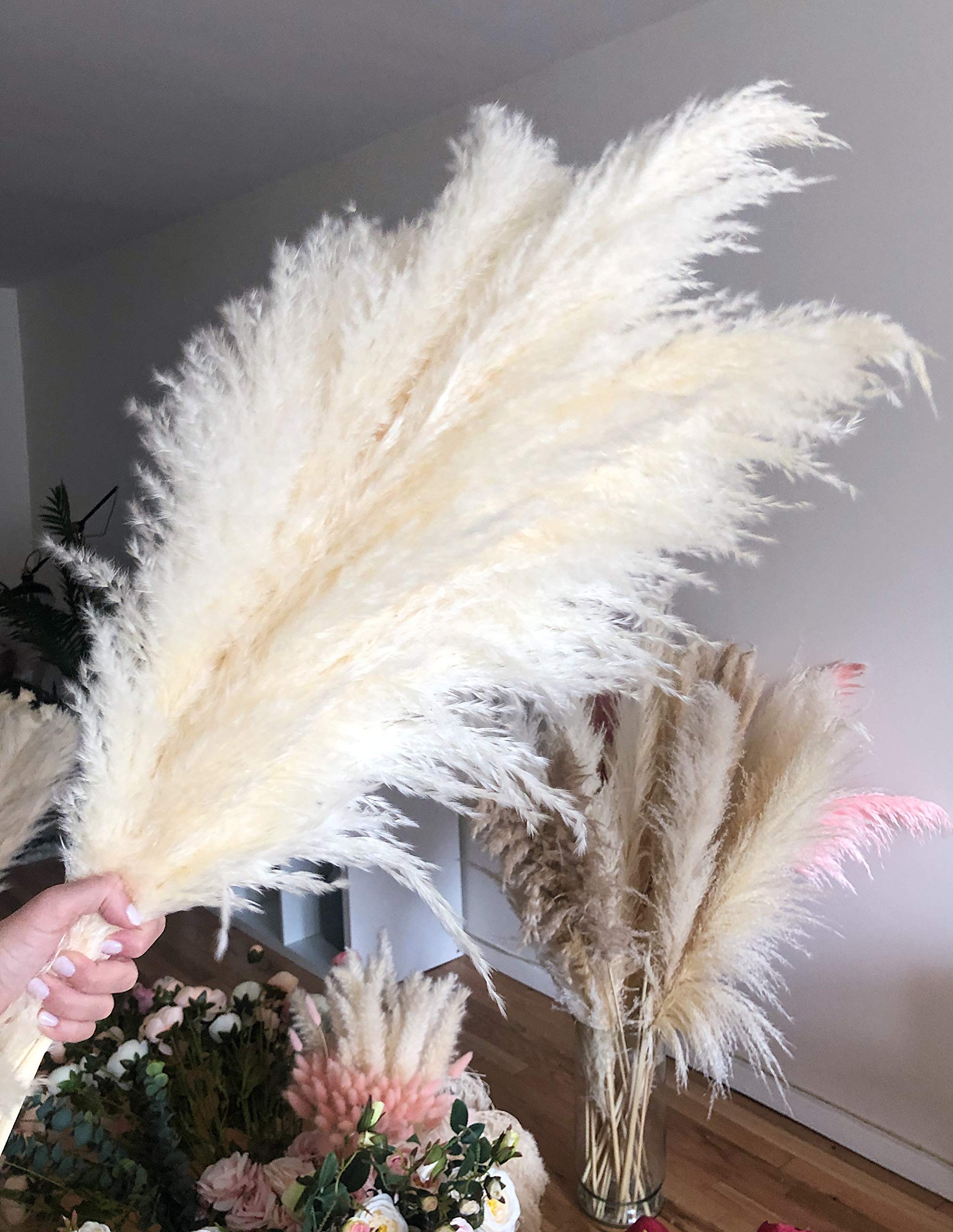 3 stems Pampas Grass Royal White Extra Fluffy Large 45'' - Home Decor, Boho Dry Wedding Plant