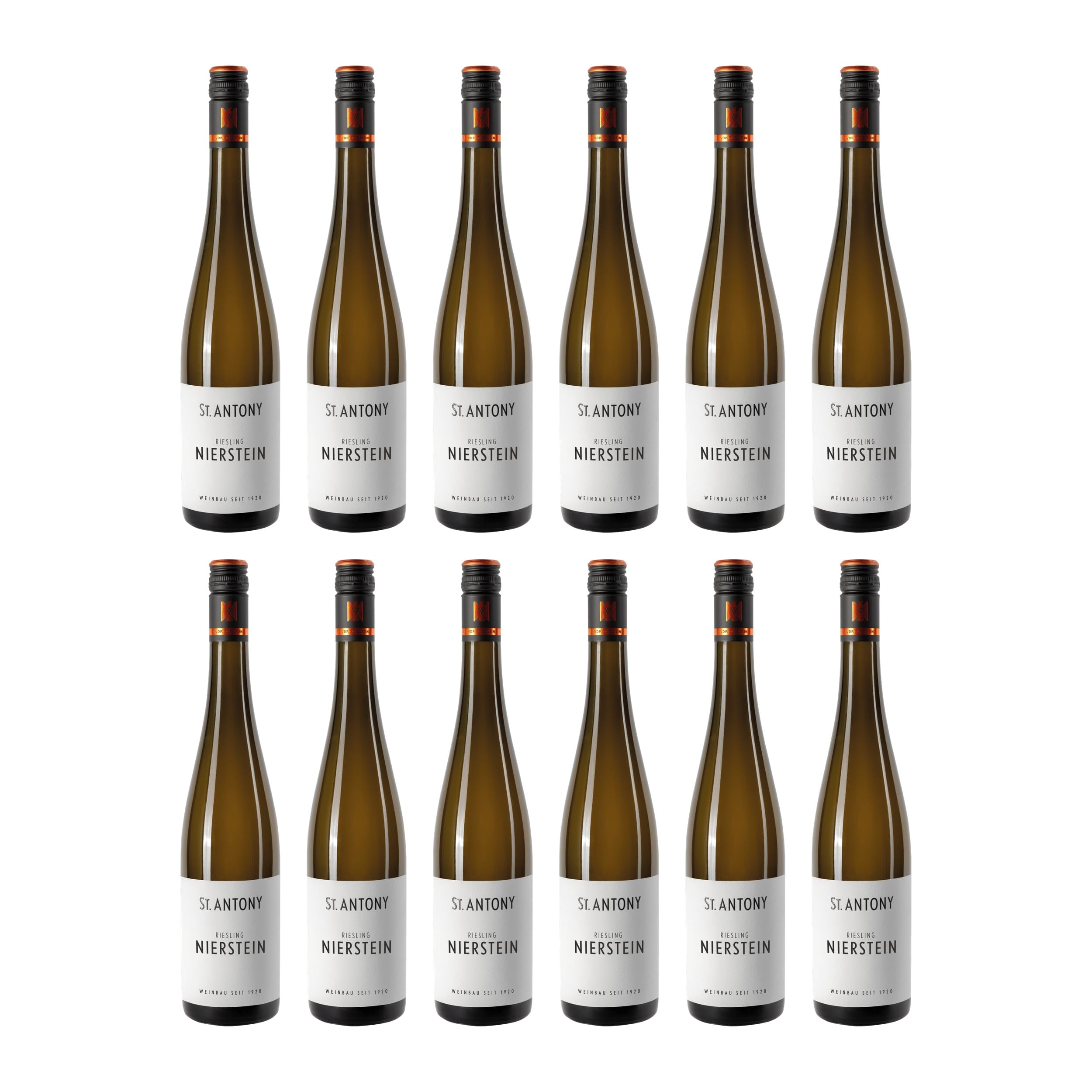 St.Antony Nierstein Riesling aus Ersten Lagen trocken Weisswein Deutschland BIO inkl. FeinWert E-Book (12 x 0.75 l)