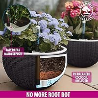 Vista 3 de Macetas colgantes de riego automático de 7.5 pulgadas para plantas de interior, maceta con indicador de nivel de agua para plantas, macetas