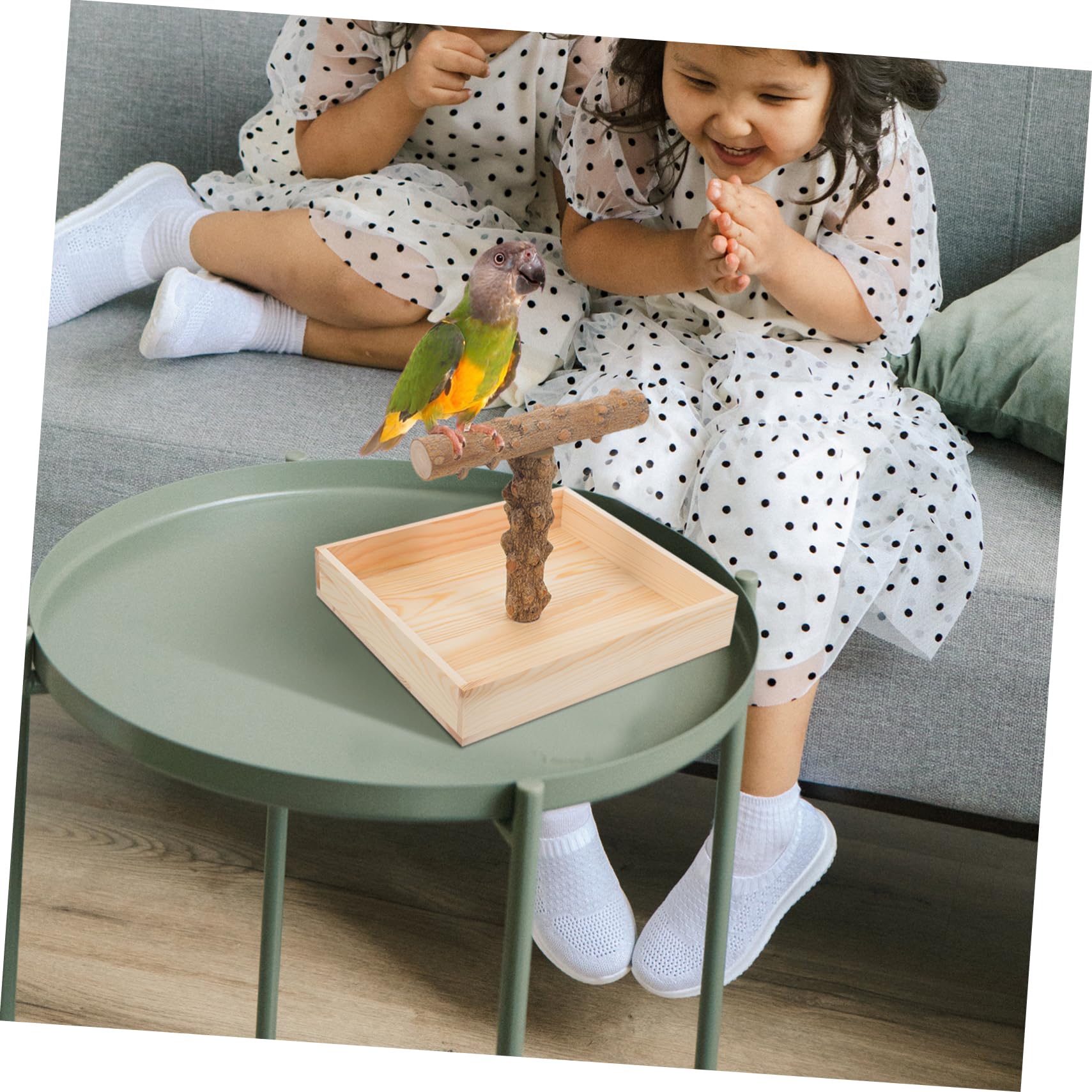 Toyvian Perchoir à Oiseaux en Bois Naturel pour Table Stable et Jeu pour Perruches