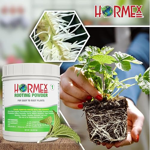 Miniatura 8 de Hormex Polvo de enraizamiento #1 (1 libra) - Hormona de enraizamiento para plantas fáciles de enraizar - Forma rápida y fácil de clonar plantas a