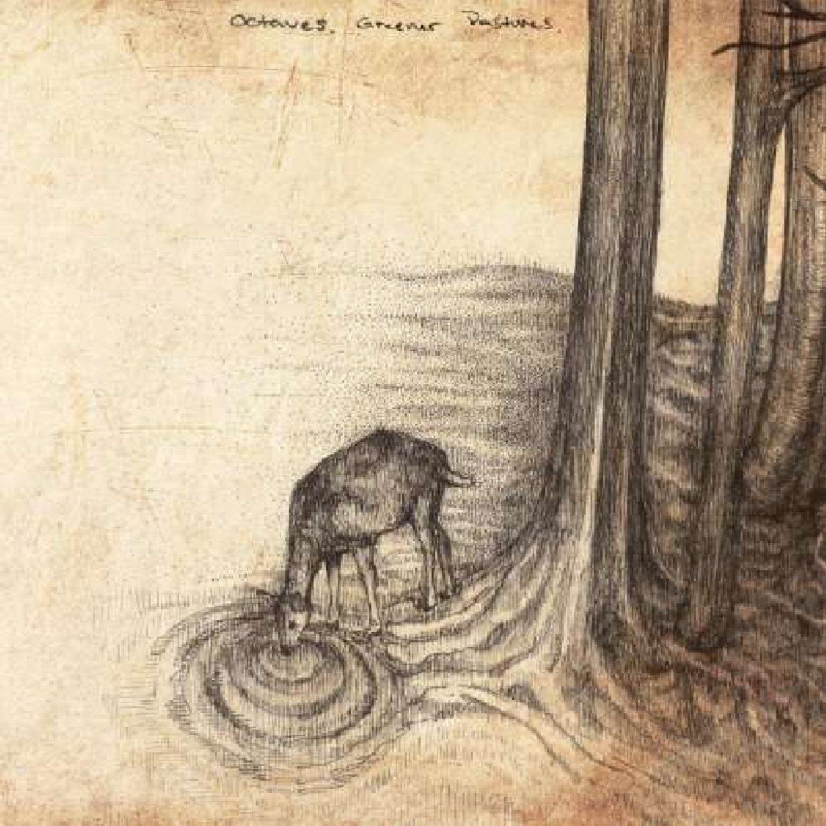 Greener Pastures by Octaves (Record, 2013)