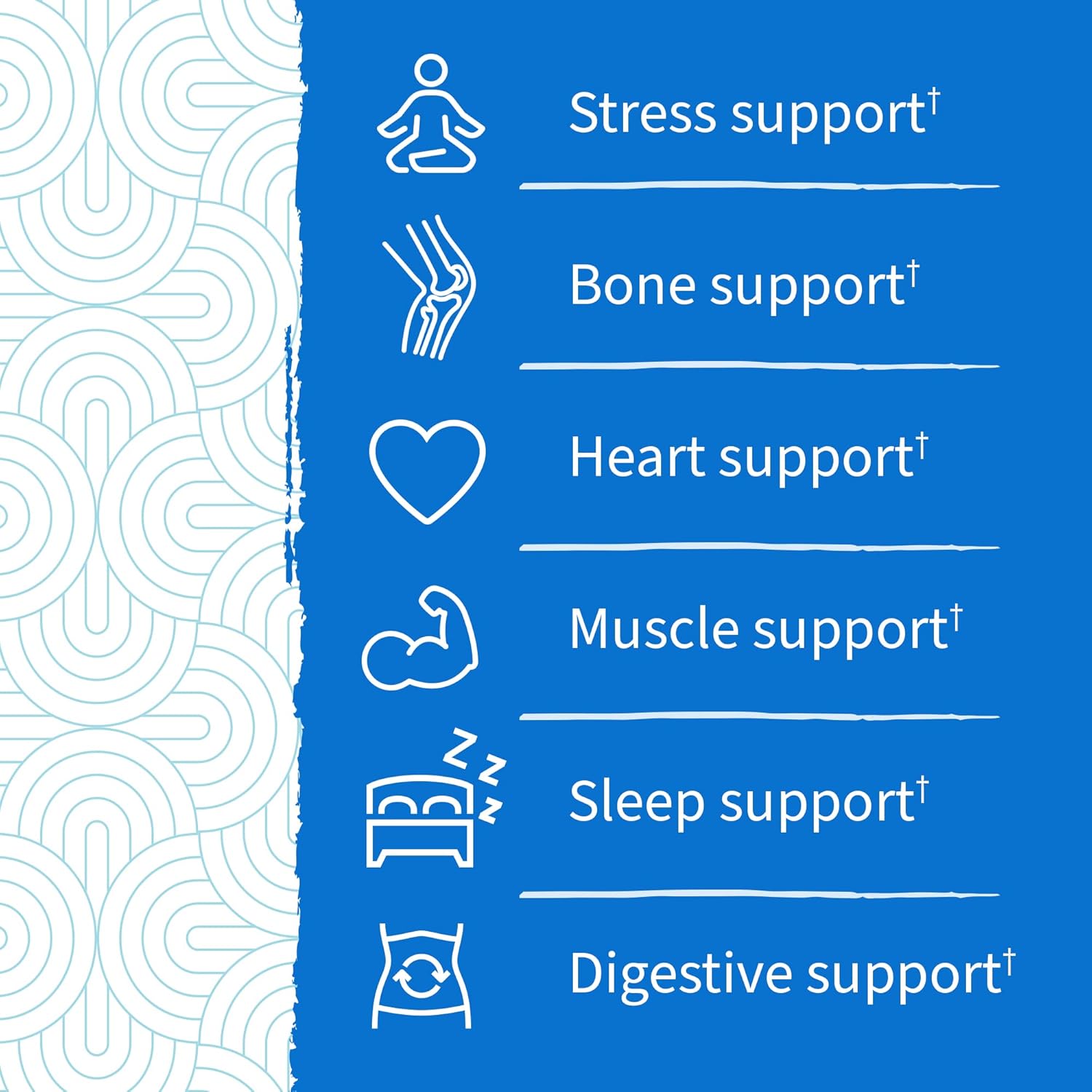 Garden of Life Magnesium Stress Support Gummies with Prebiotics & Probiotics for Sleep and Recovery with No Added Sugars – Dr Formulated, Vegan, Gluten Free, Kosher and Non GMO – 60 Raspberry Gummies : Health & Household