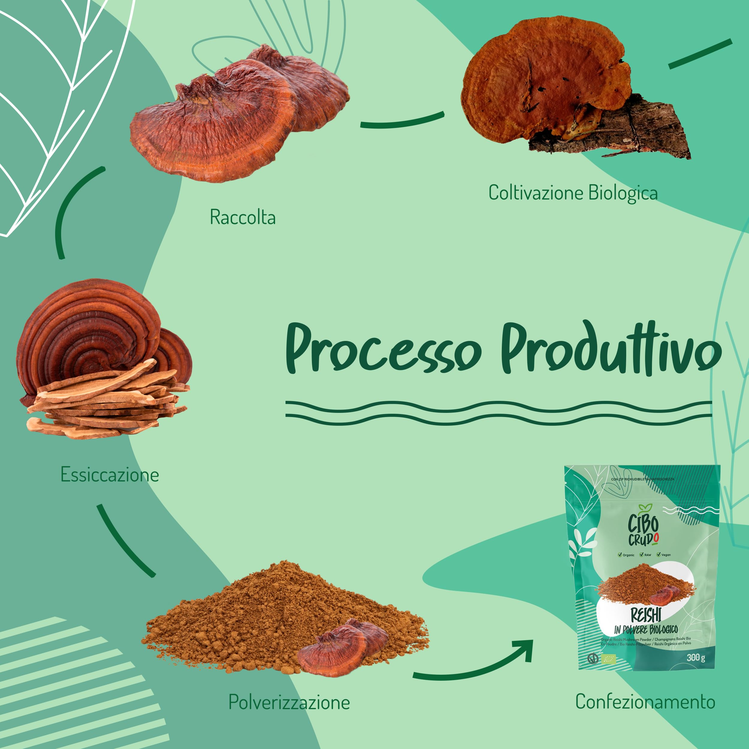 Reishi Ganoderma Lucidum Puro e Bio in Polvere - 300g. Fungo Reishi Biologico Essiccato al Sole e Macinato a Basse Temperature. Funghi medicinali Fonte di Antiossidanti, Fungo Cinese Reishi