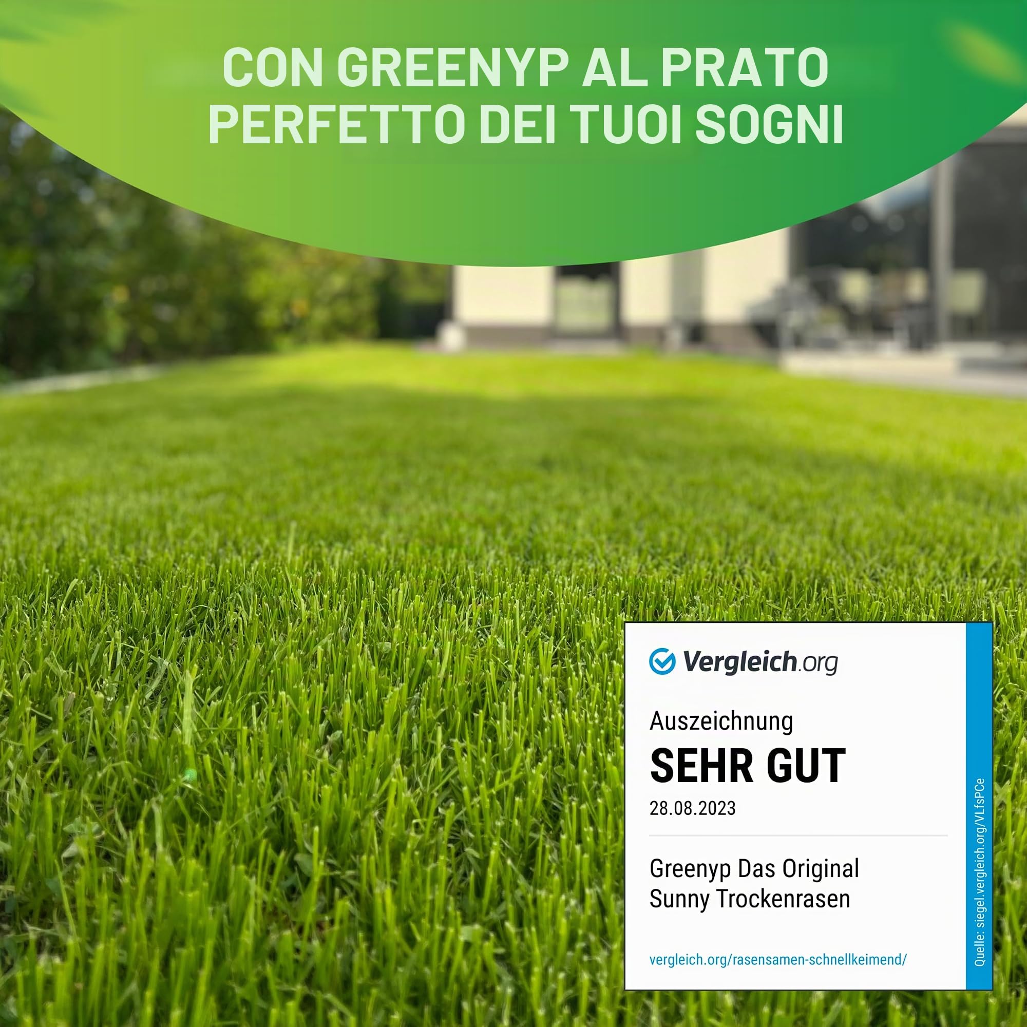 Greenyp® Sunny I erba secca resistente alla siccità, 30 kg per 1200 m², semi di erba, seme di prato, semina di erba, semina di erba