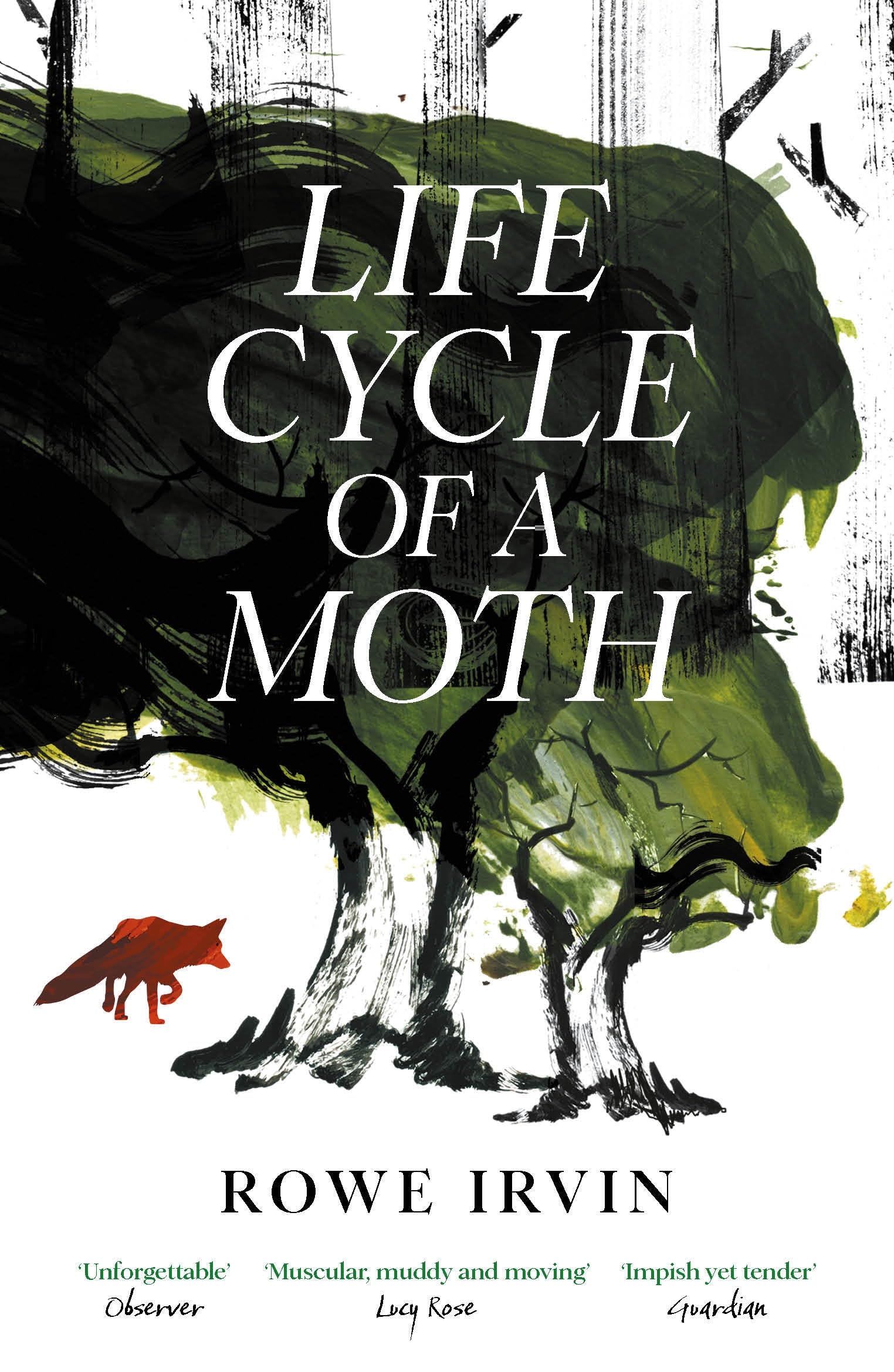 Life Cycle of a Moth
