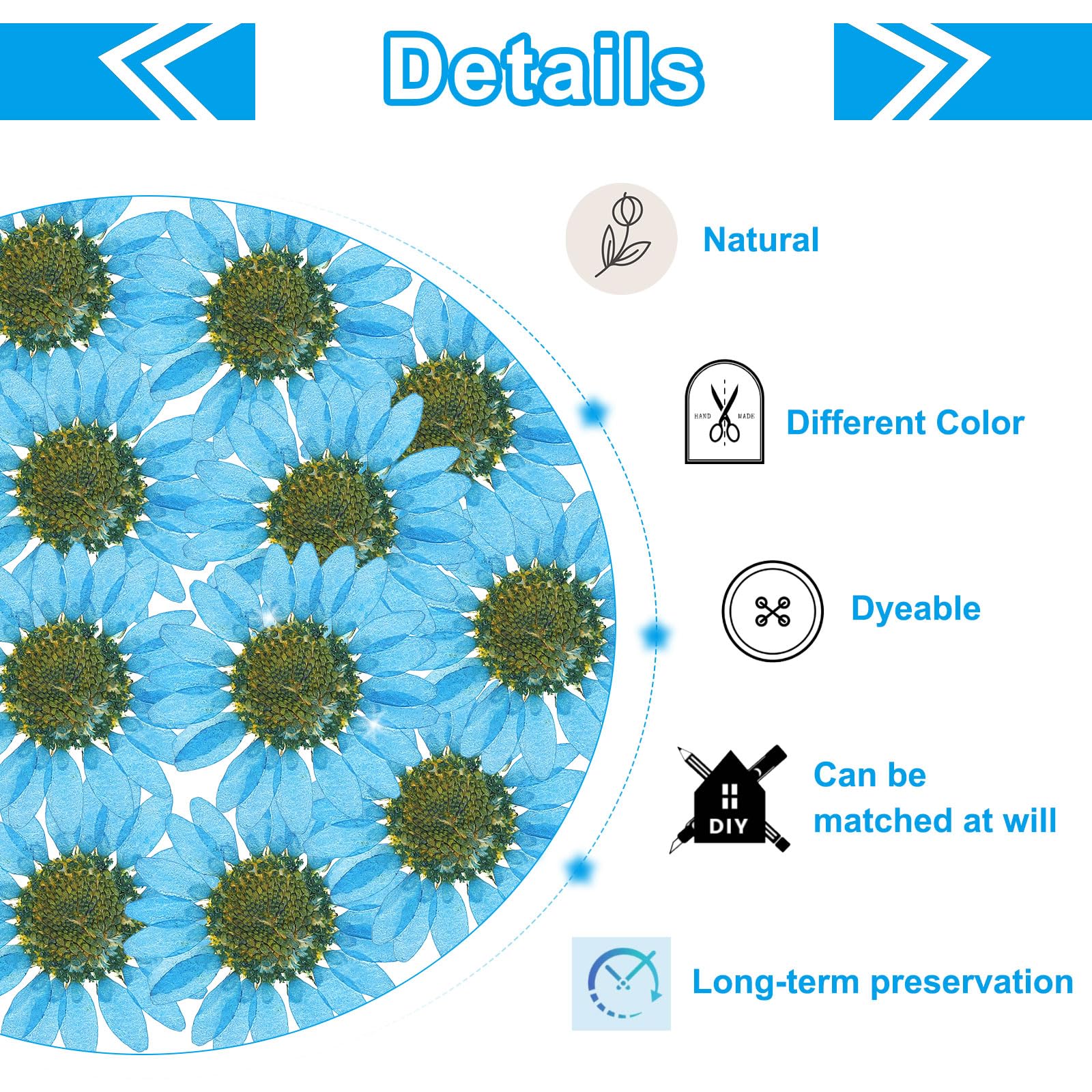 PATIKIL 48 Pcs Dried Pressed Flower Natural Dried Daisy Flower for DIY Art Crafts House Decoration Nails Decoration,Sapphire Blue - Image 3