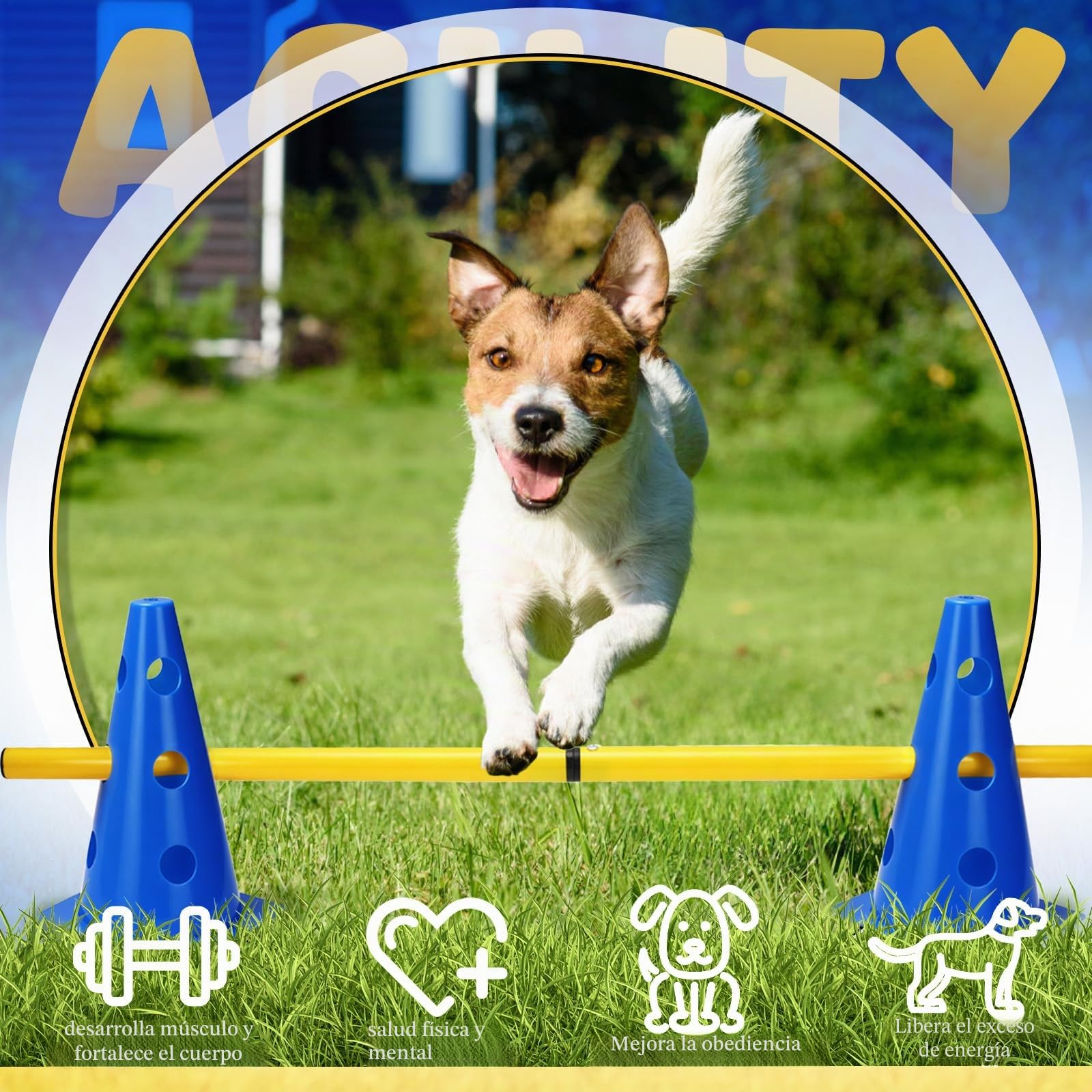 Agility Set Perros Barreras Juego de Obstáculos Niños Obstáculos para Niños Perros Parcurso para Saltar, Perro Cavaletti, 8 conos de 23 cm de altura + 8 barras de 80 cm de largo, para