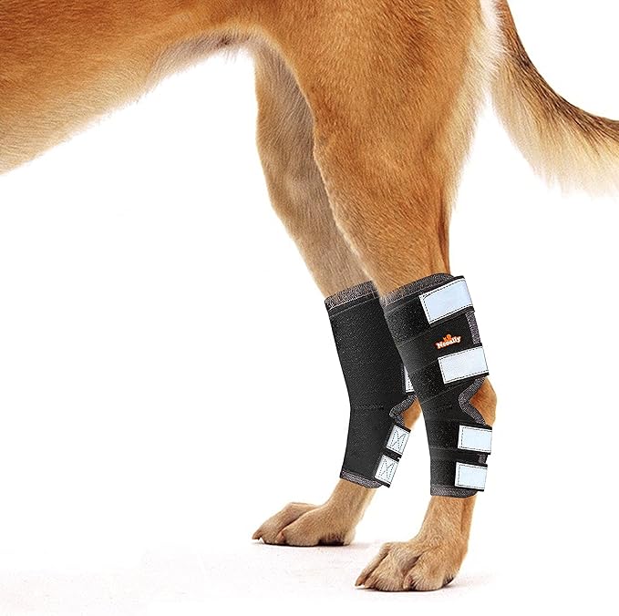 NeoAlly Dog Back Leg Braces [Long Pair] Canine Hind Leg Hock Sleeves