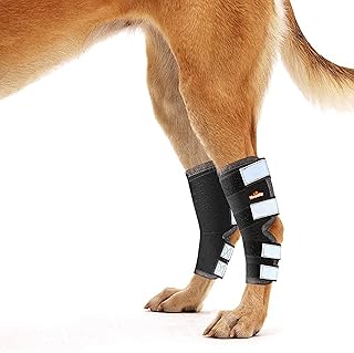 Sponsored Ad - NeoAlly Dog Rear Leg Brace Long Version Canine Hock Wraps with Safety Reflective Straps for Injury and Spra...