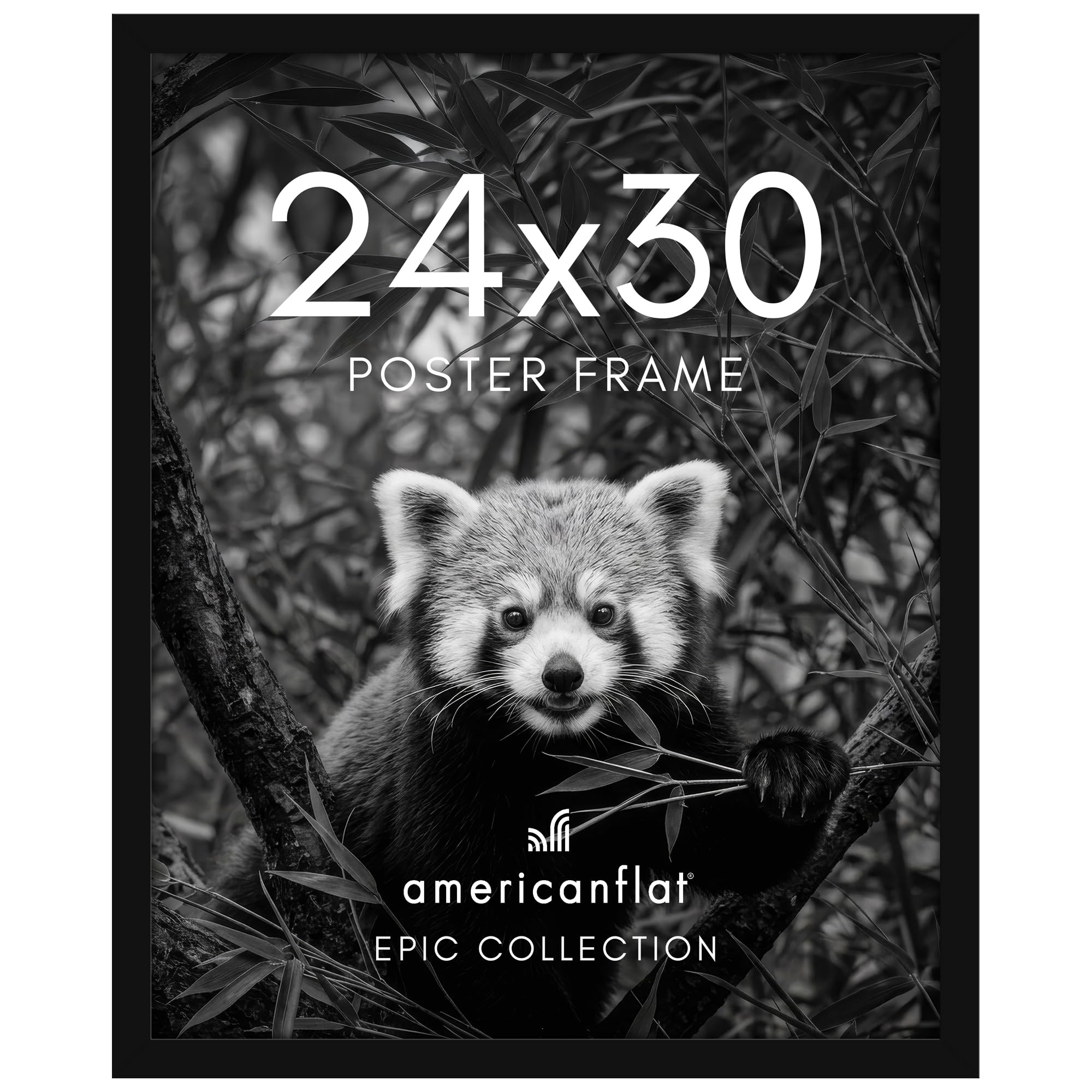 Americanflat 24x30 Poster Frame