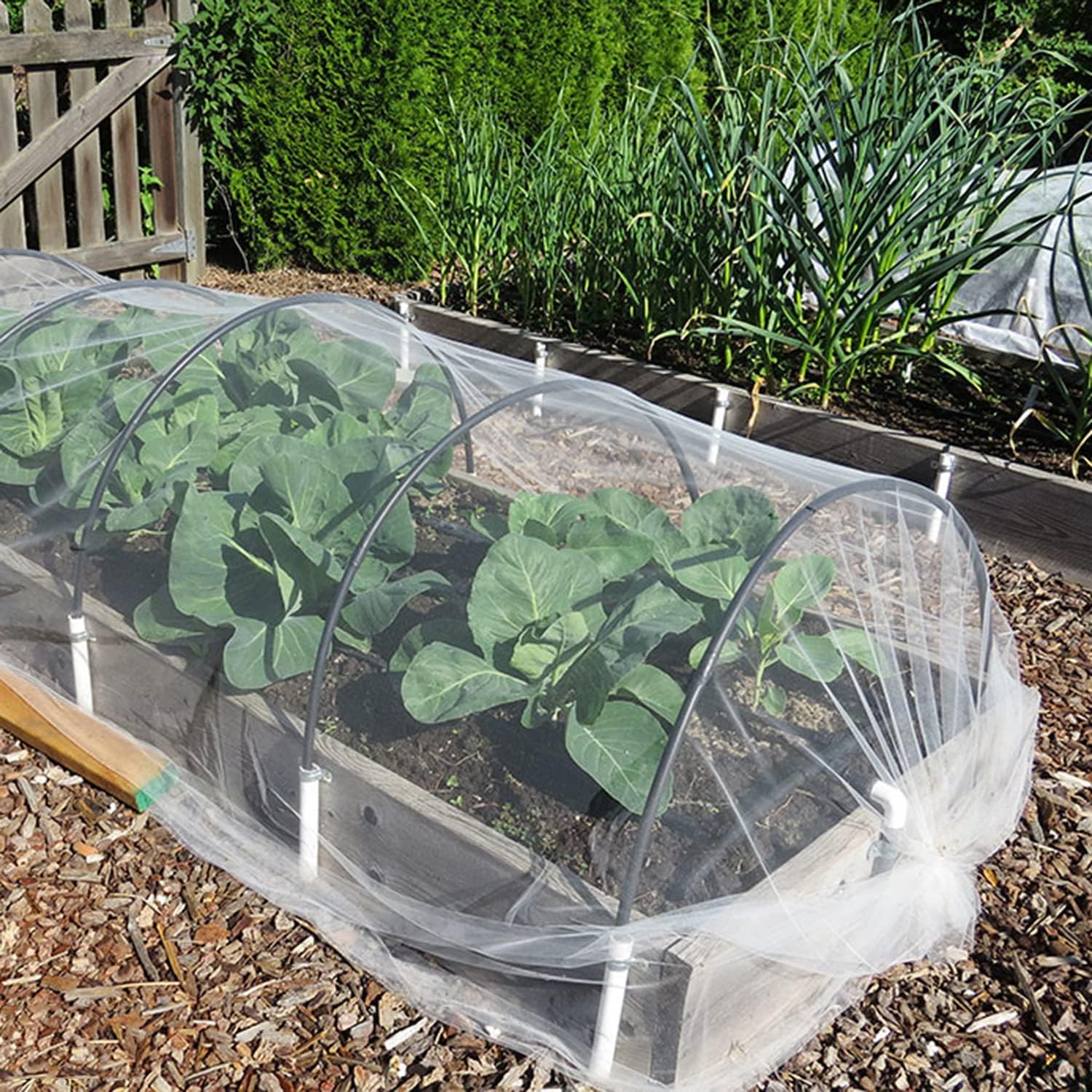 Aoipend Fine Mesh Garden Netting for Protection, 8'x33' Vegetable Crop