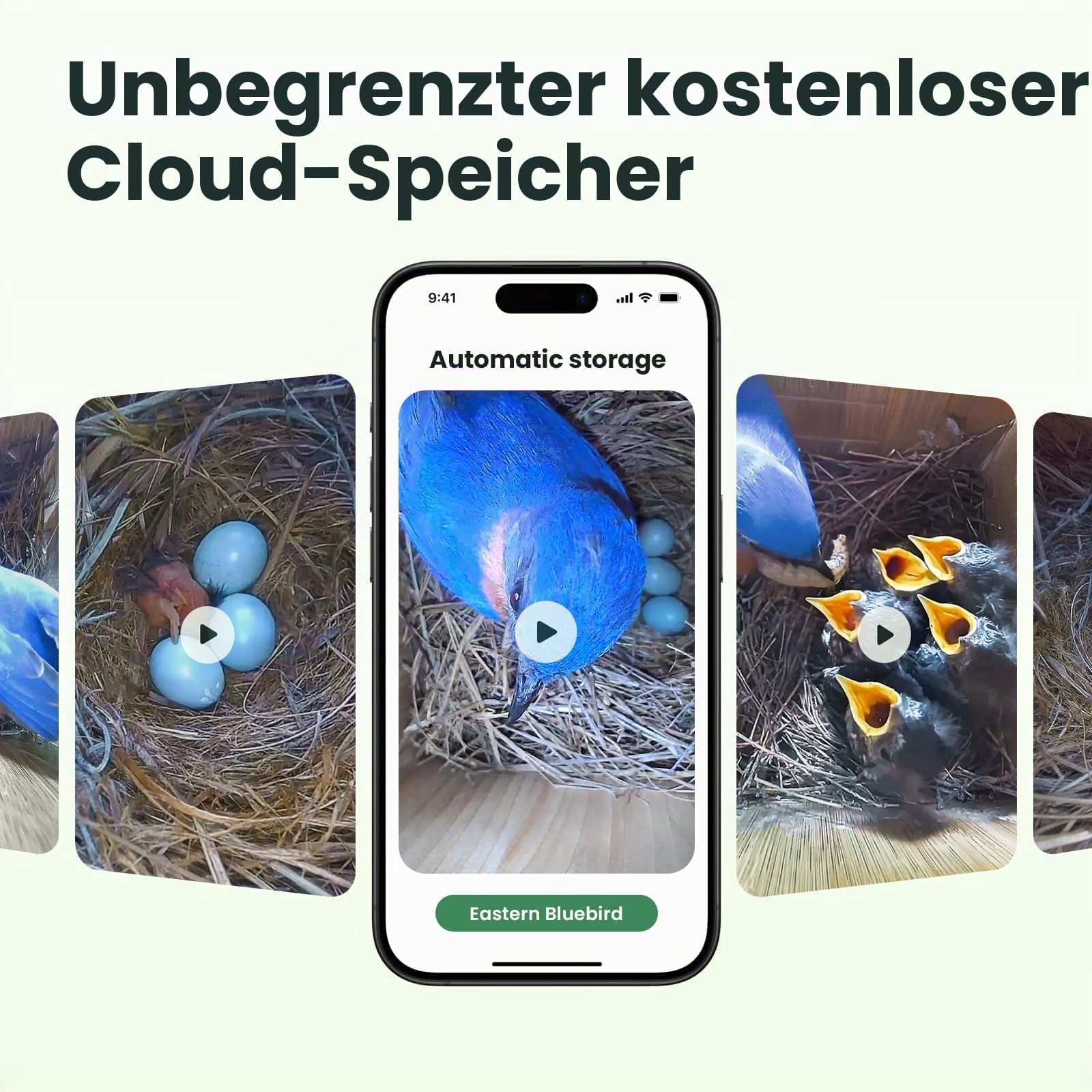 Birdfy Vogelhaus mit Kamera Solar, 1080P FHD Live-View, Echtzeitbeobachtung des Nestbaus und der Brut von Vögeln,Nistkasten mit Kamera, 5200mAh Akku, KI - Ident Vogelfreunde
