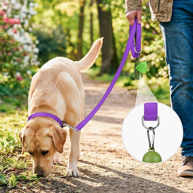 Foto 2 de 6 de Joytale Correa para Perro Reflectante de Doble Cara, Correa para Perros con Mango Acolchado