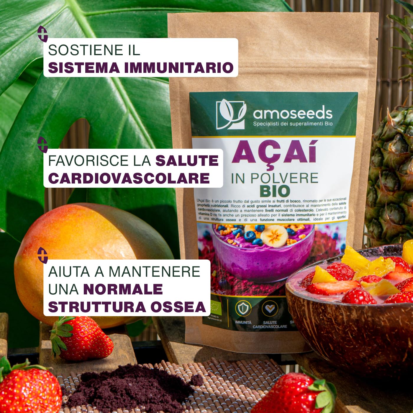 Açaí in polvere BIO 100g | 100 % Polpa di bacche di açaí Liofilizzata (freeze-dried) | Crudo, Senza Zuccheri Aggiunti | Immunità, Vitamina D, Ossa | Qualità Superiore