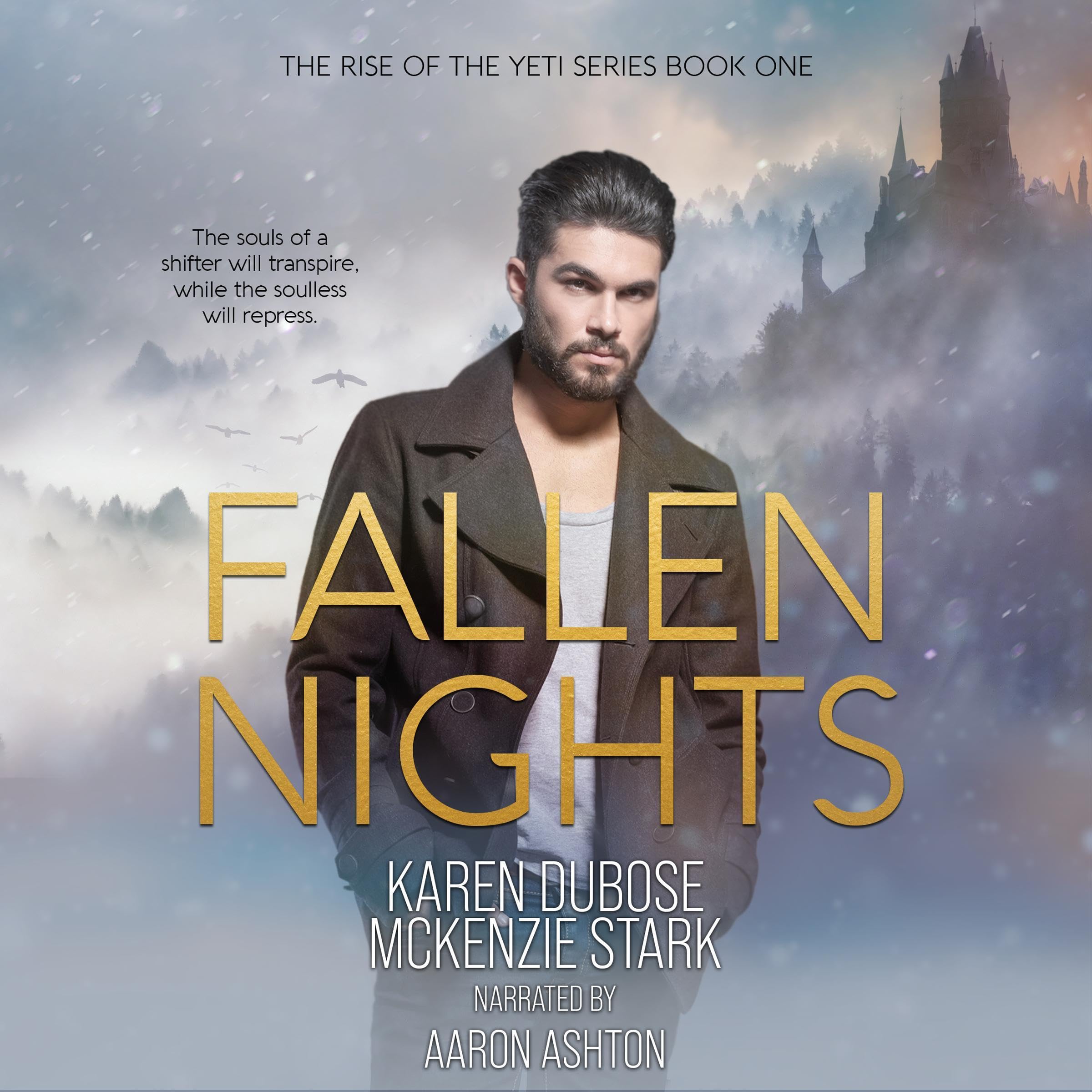 Cover art for Fallen Nights