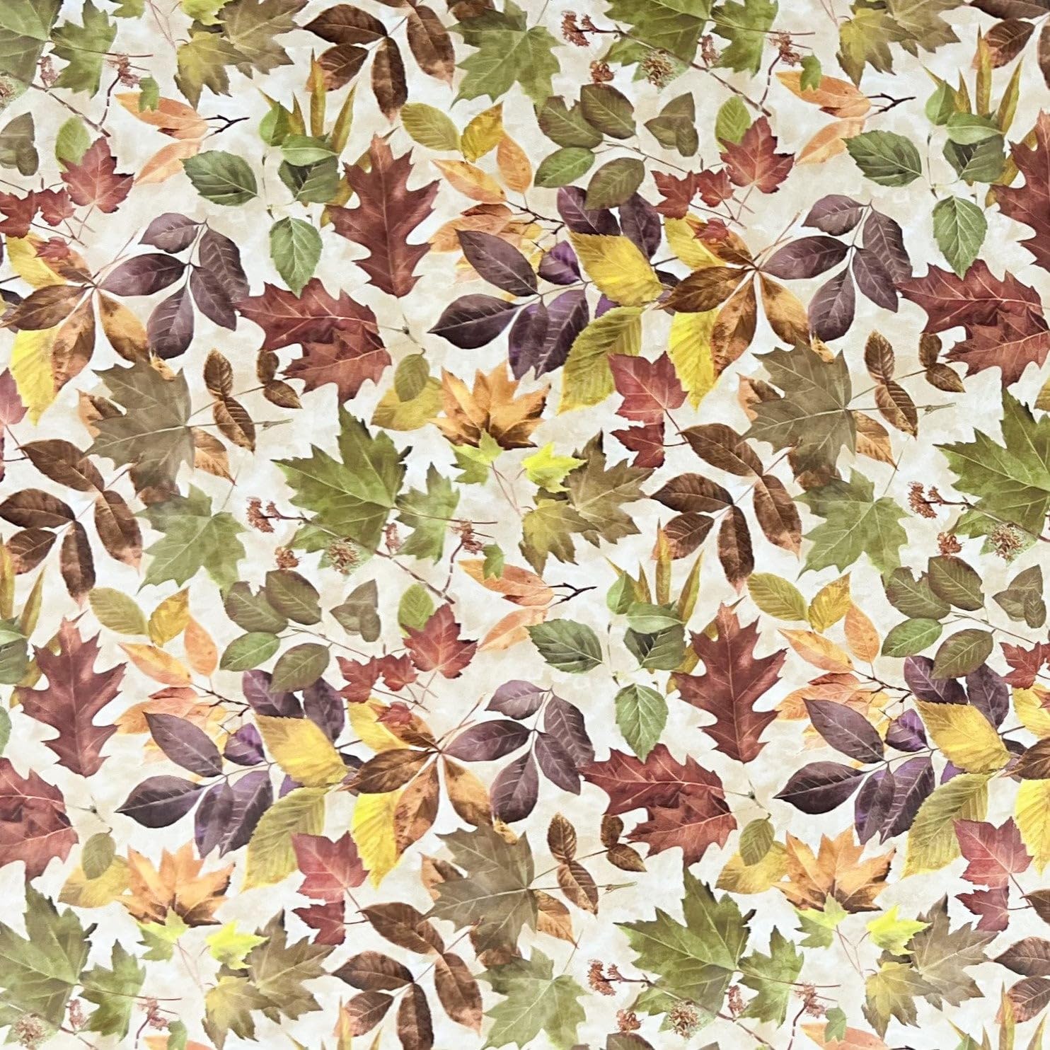 KEVKUS Wachstuch Tischdecke 688-1 Herbst Blätter Laub wählbar in eckig, rund und oval - Größe oval 140x260cm mit Paspelband