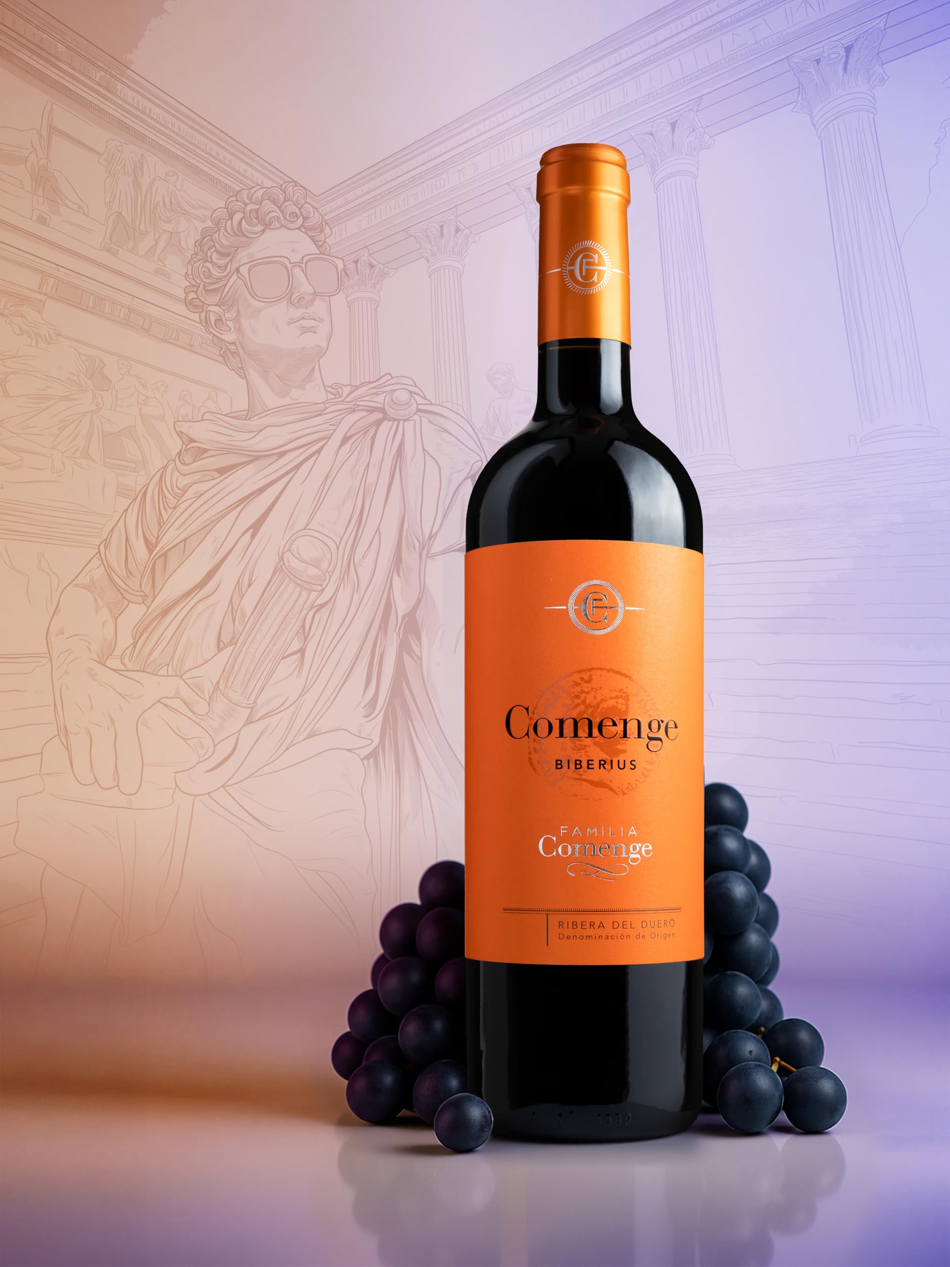 Vino Tinto Ribera del Duero D.O. – Pack 6 Botellas 6x75cl Tempranillo Joven Roble + Sacacorchos Premium - Caja Regalo Vino – Biberius de Bodegas Comenge