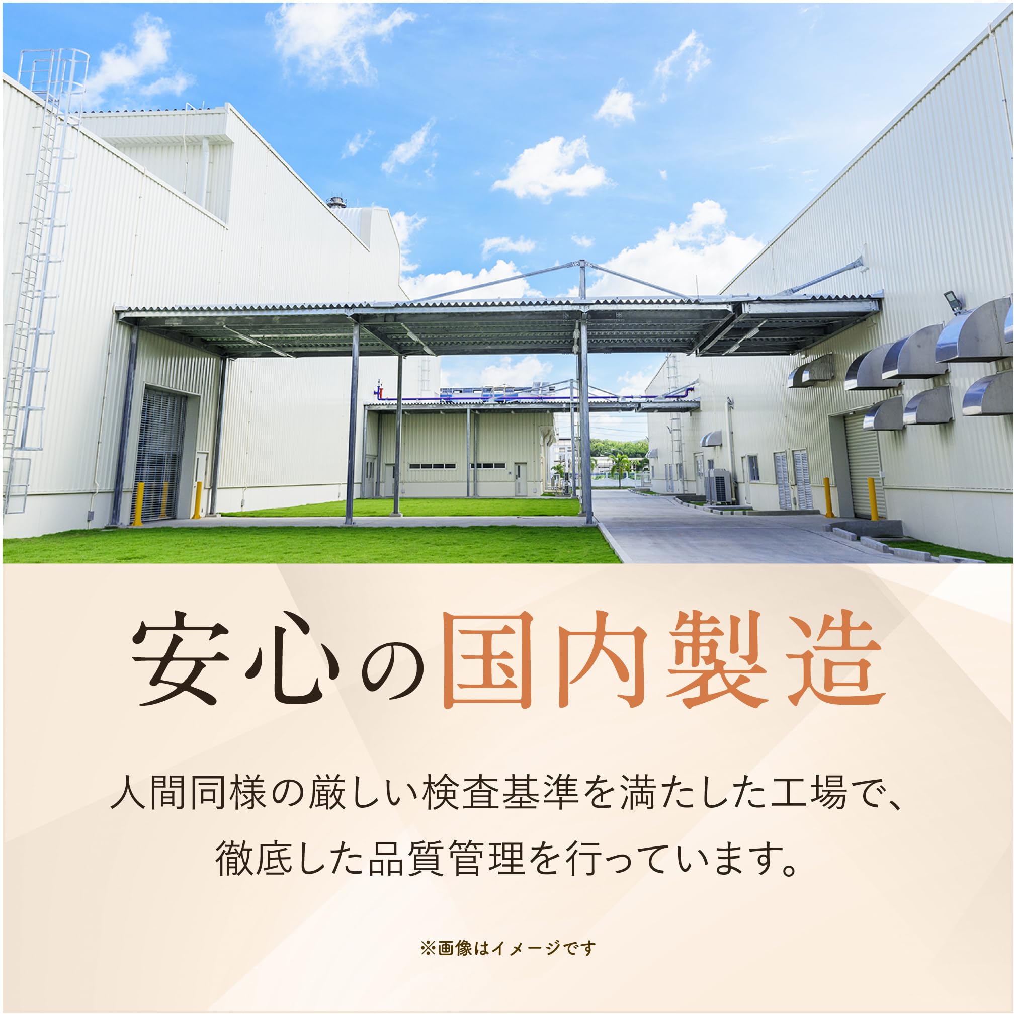 Amazon.co.jp: [犬猫生活] お肉ミックスデリ 犬猫兼用 チキン味(70g×8