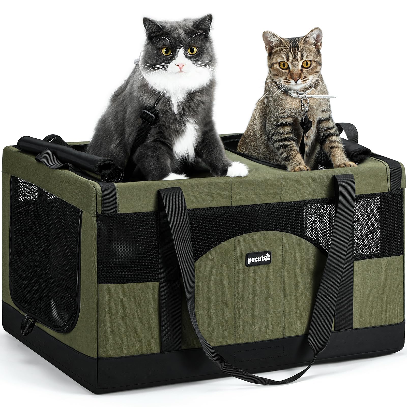 Pecute Dual Compartment Pet Carrier