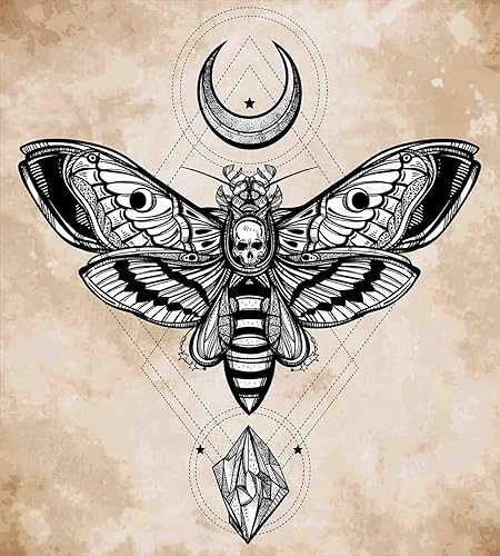 Miniatura 2 de Ambesonne Juego de funda de edredón de fantasía, diseño de calavera mágica de luna y piedra de cabeza muerta, diseño de calavera mágica, juego de