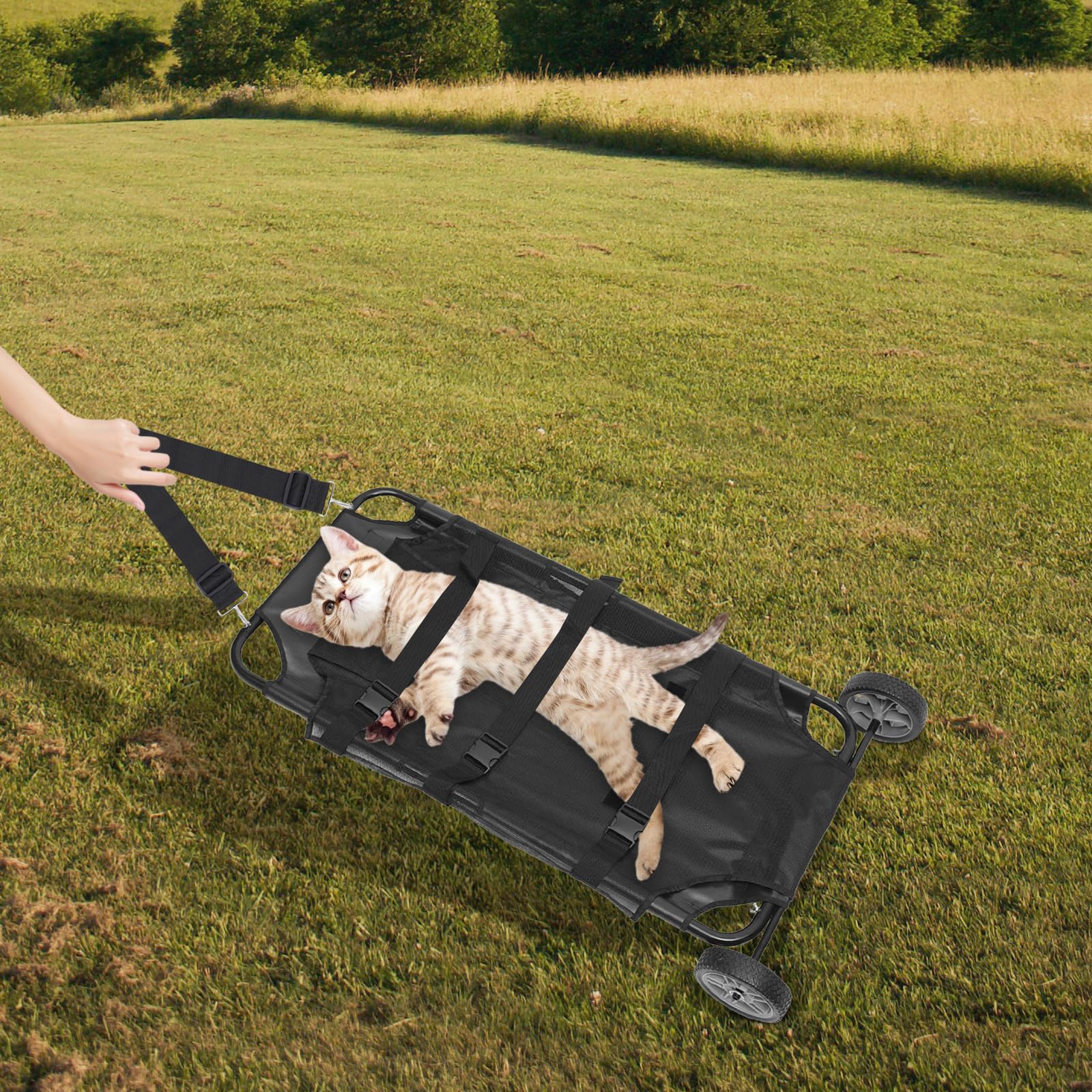 Fahrbarer Tierträge, Faltbare Transport Notfalltrage 115×55×15cm, Verstellbarer Schultergurt, Leicht zu bewegen, Tragfähigkeit 50 kg für Haustiere mit Notfällen