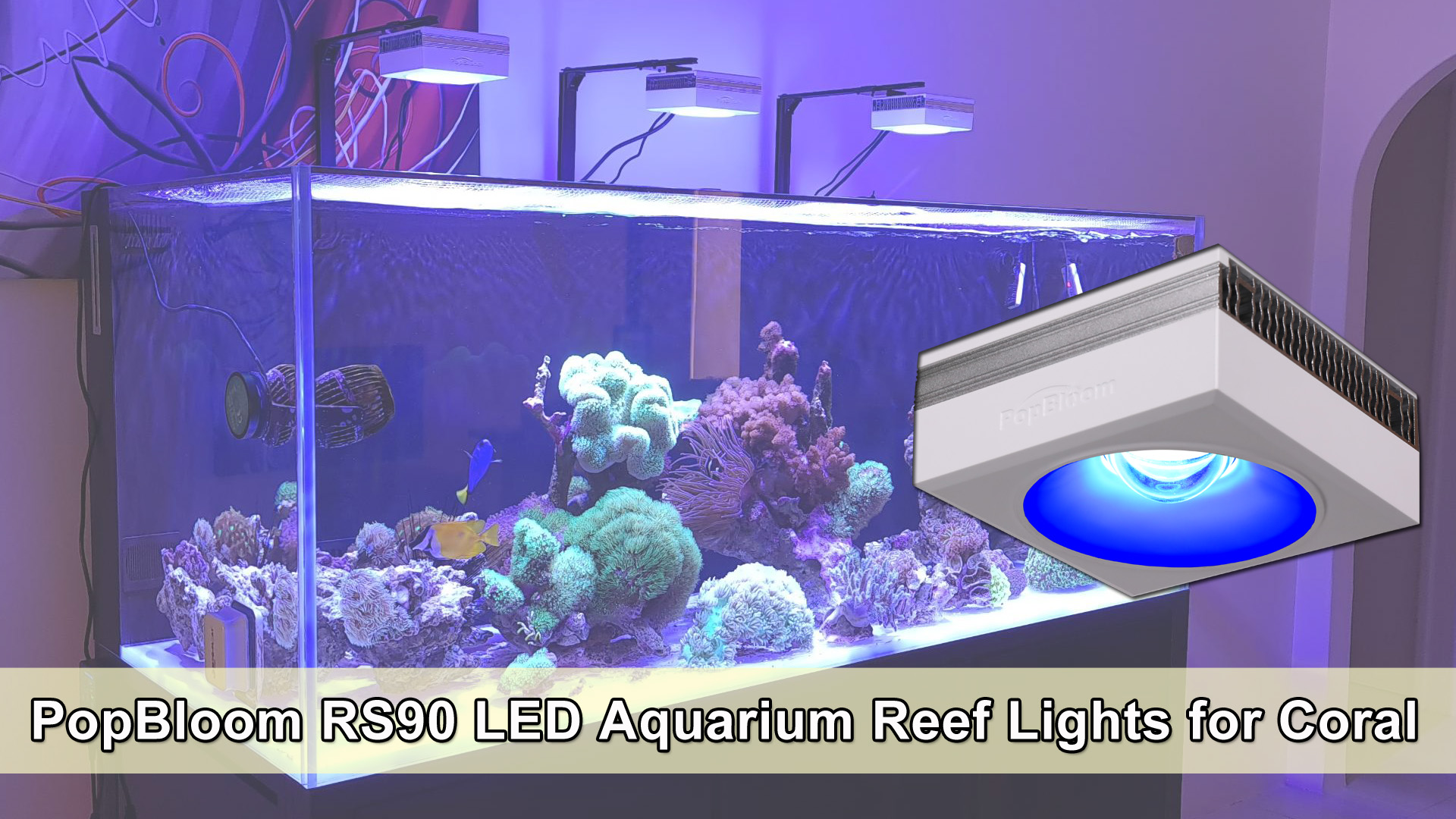 水槽照明 海水魚 サンゴ水槽 水草 フルスペクトルＬＥＤライトPopBloom 水槽照明 海水魚 サンゴ水槽 水草 フルスペクトルLEDライトPopBloom