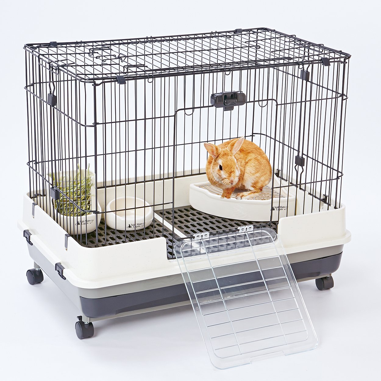 Amazon | アドメイト (ADD. MATE) ラパン Lapin ポタリー ラビット