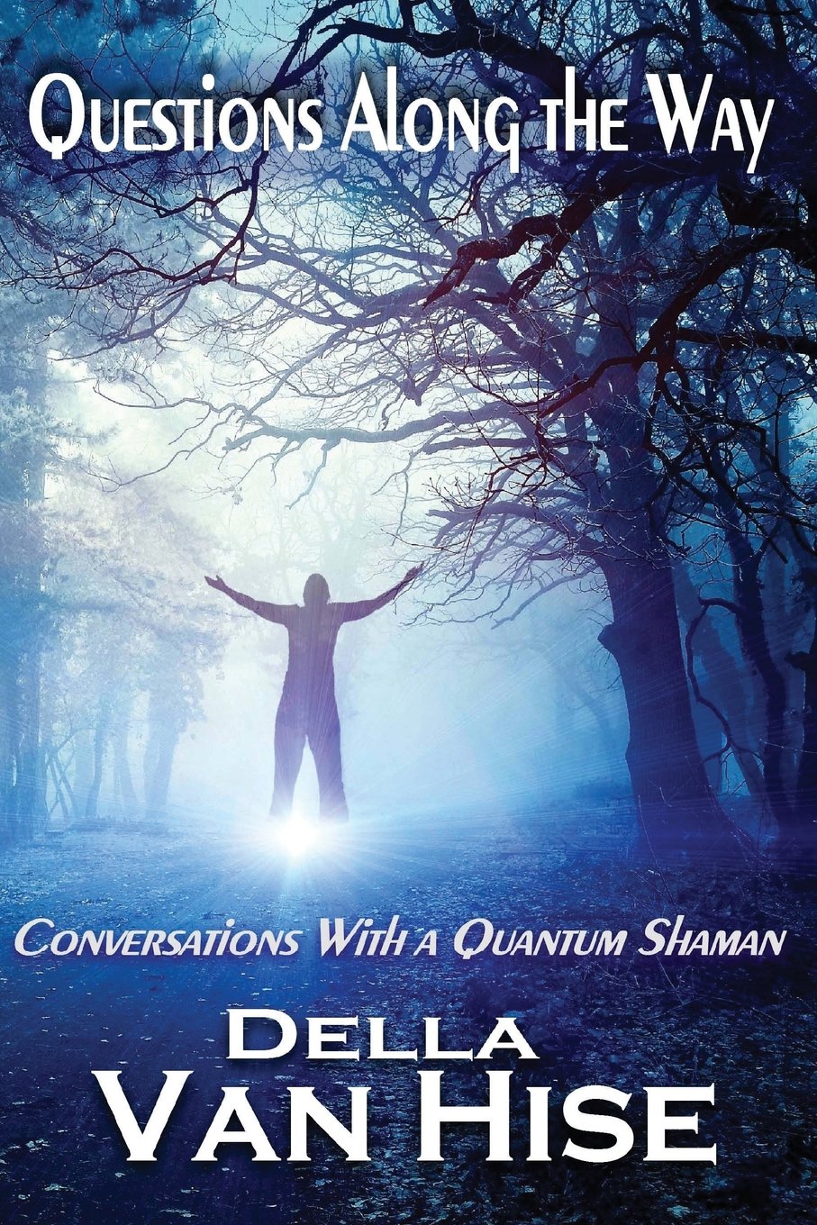 Buy Questions Along the Way: Conversations With a Quantum Shaman: 3 — BookShops.in