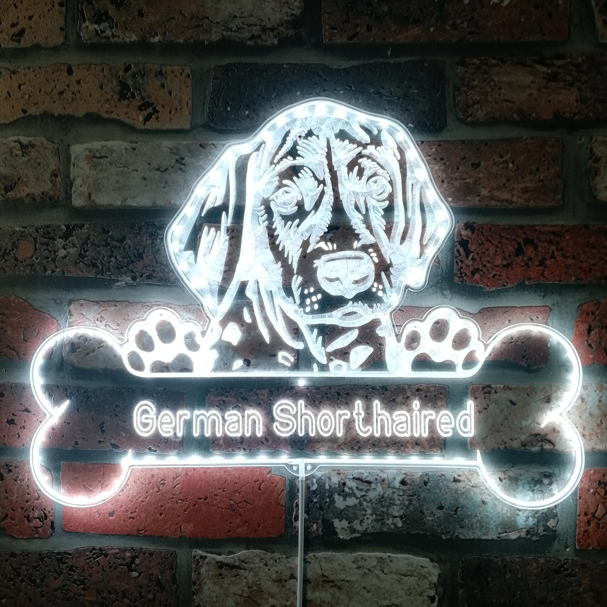 ADVPRO Name Personalize German Shorthaired Dog RGB Dynamic Glam LED Sign - Cut-to-Edge Shape - Smart 3D Wall Decoration - Multicolor Dynamic Lighting - st06s22-fnd-p0072-tm