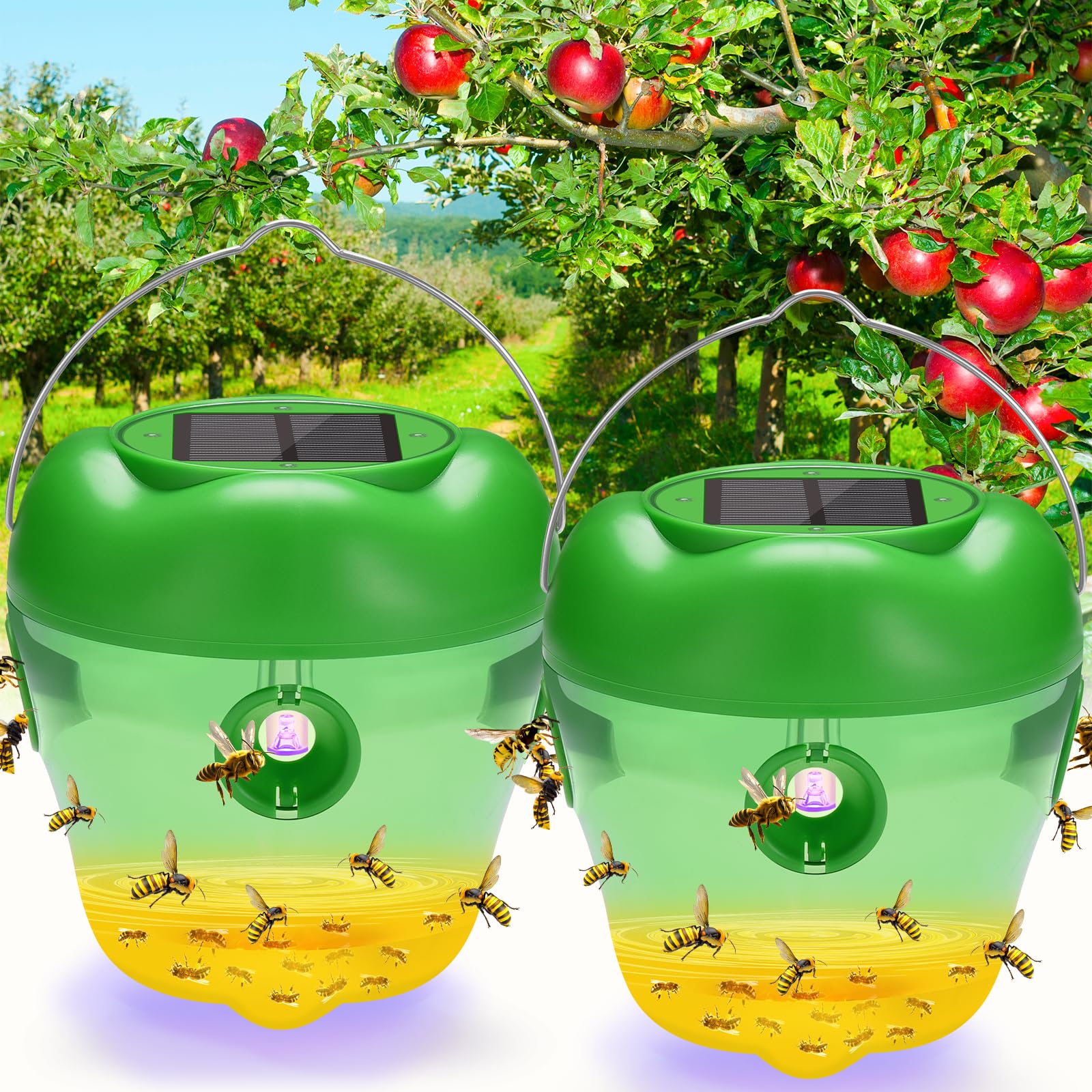 Nacoman Solar Wasp Trap