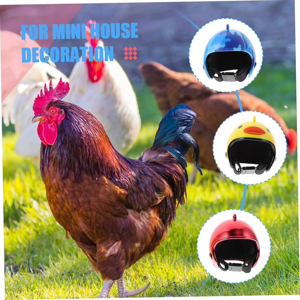 鳥の帽子 Amazon.co.jp: FUNOMOCYA 鶏用ヘルメット 鶏用帽子 鶏用