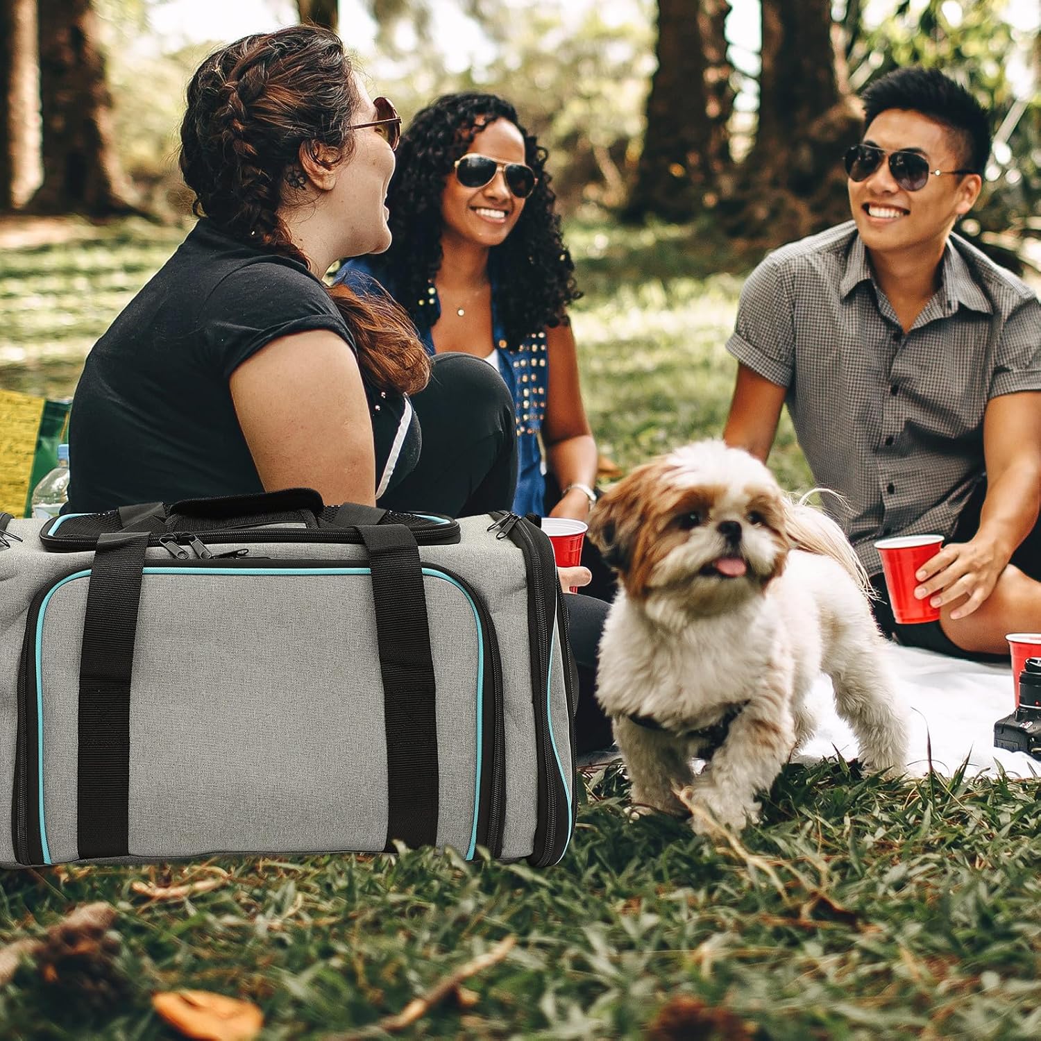 HOMSFOU Expandable Portable Pet Carrier Bag with Breathable Mesh, Foldable Small Soft-Sided Cat and Dog Travel Carrier, Airline Approved Outdoor Pet Carrying Pouch for Cats and Puppies