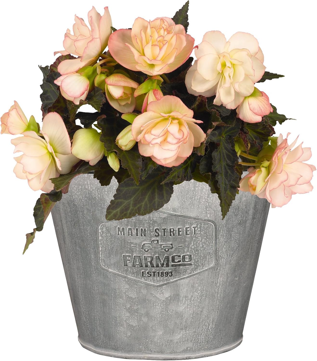 Distressed Galvanized Tin Planter - Large - 9
