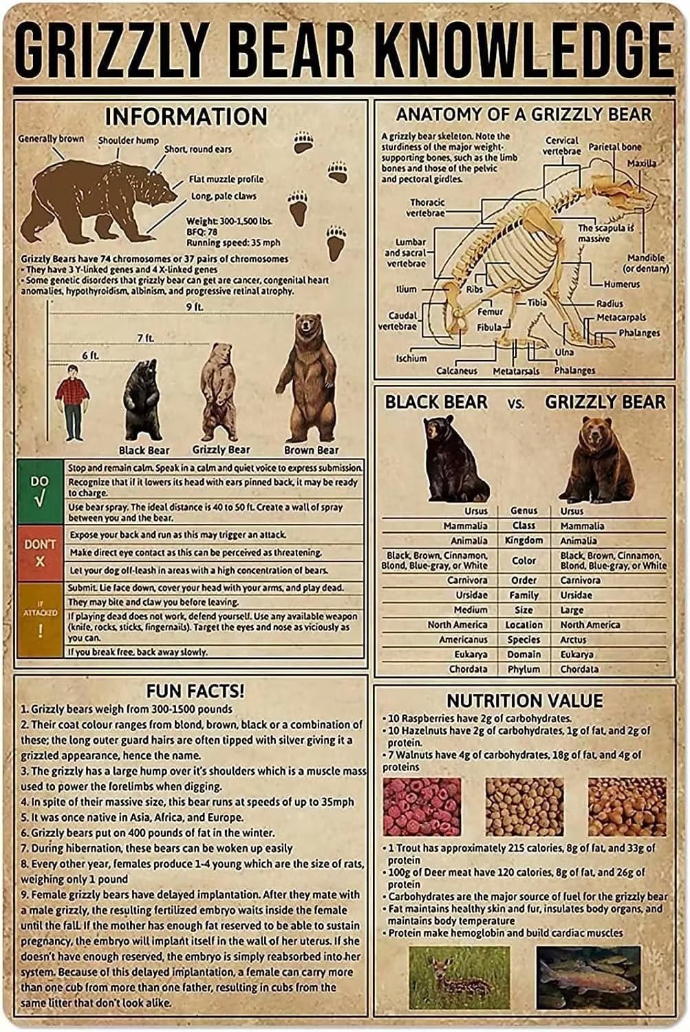 rayprint Grizzly Bear Knowledge Metal Sign Anatomy Of A Grizzly Bear Poster Tin Sign Retro Plaque Wall Decor For Home Kitchen Cafe Club Garage Man Cave
