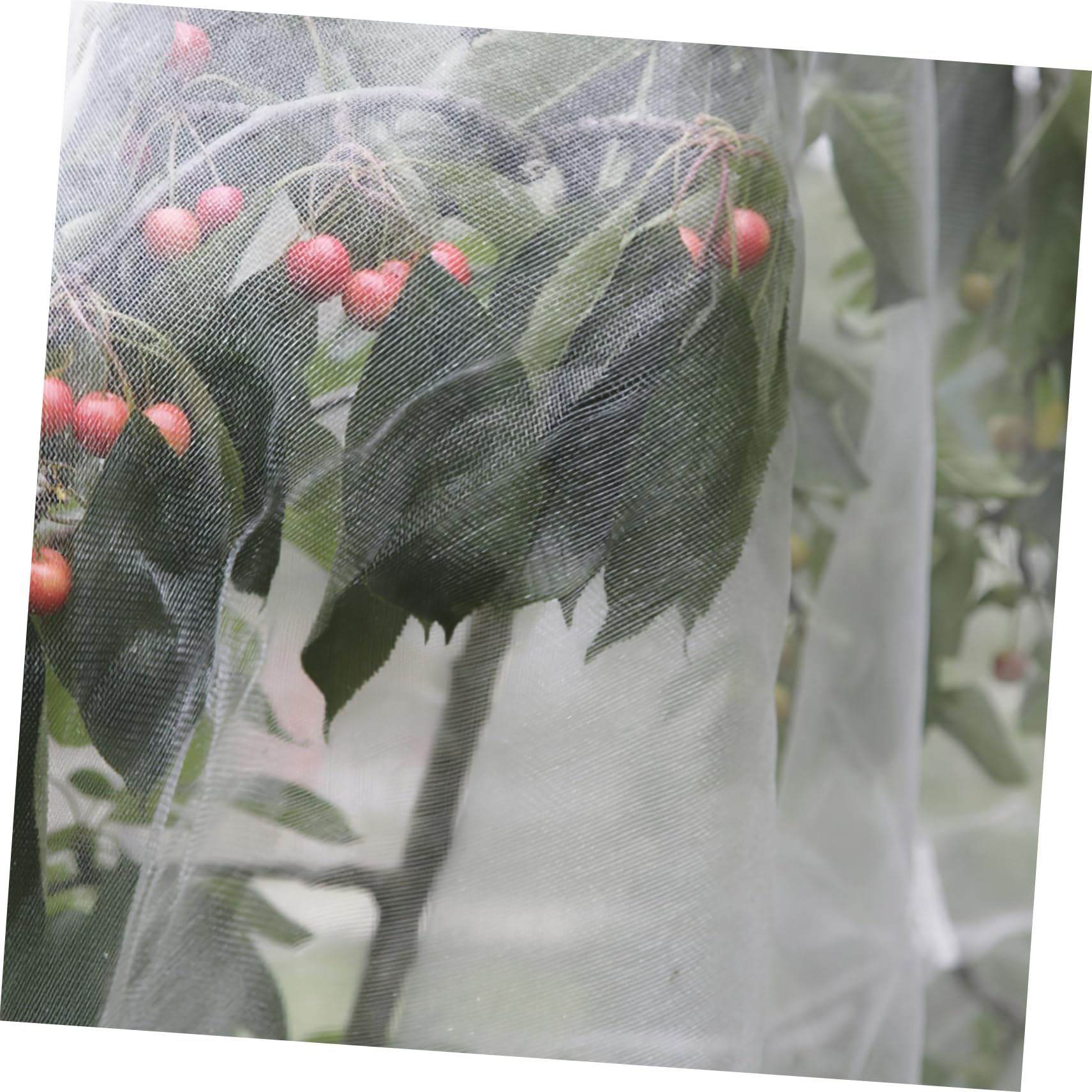 Toddmomy 5rouleaux Filet De Insectes pour Jardin Maille Découpable Anti-Oiseaux Et Insectes pour Plantes Et Légumes Et à Air Extérieure