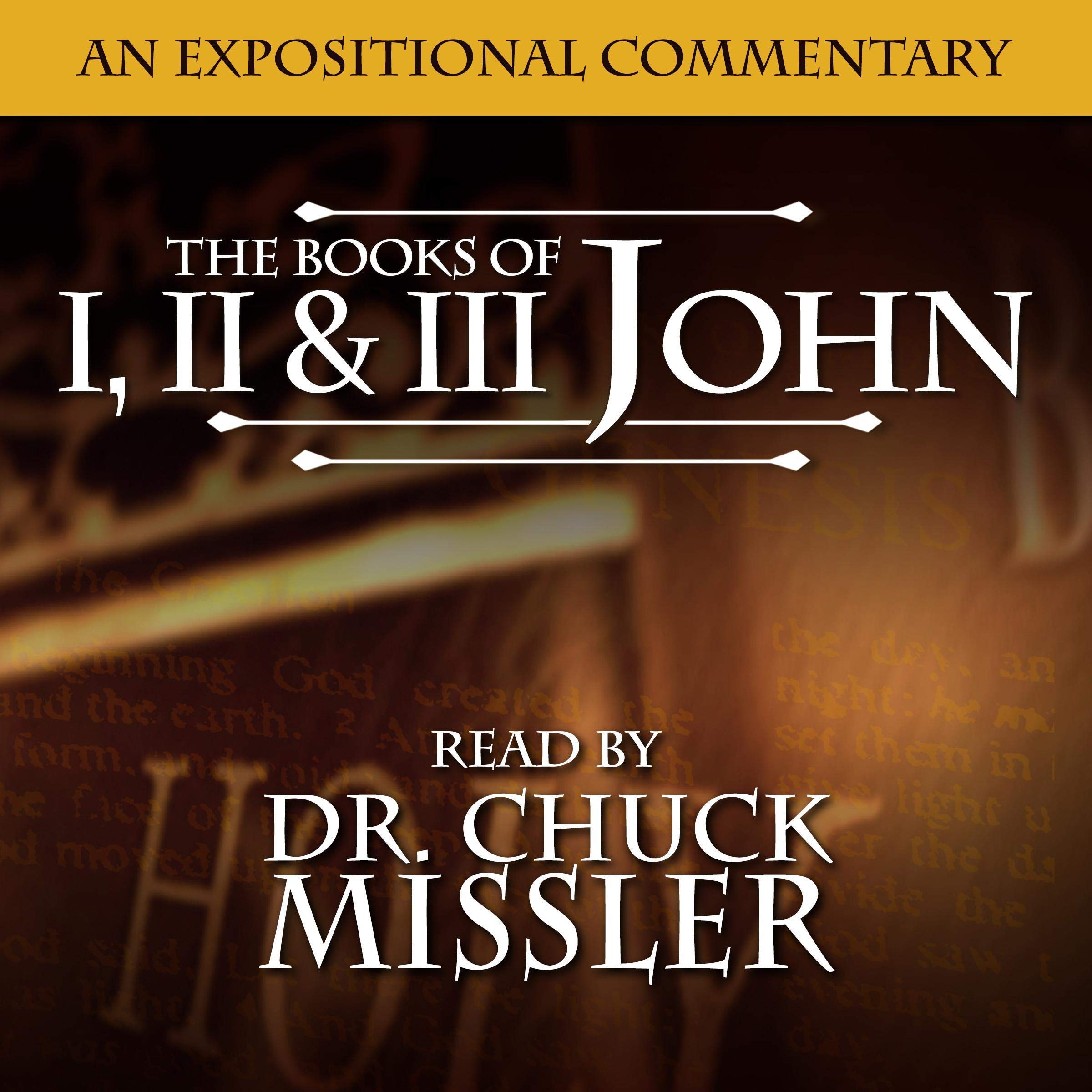Cover art for The Books of I, II & III John: A Commentary