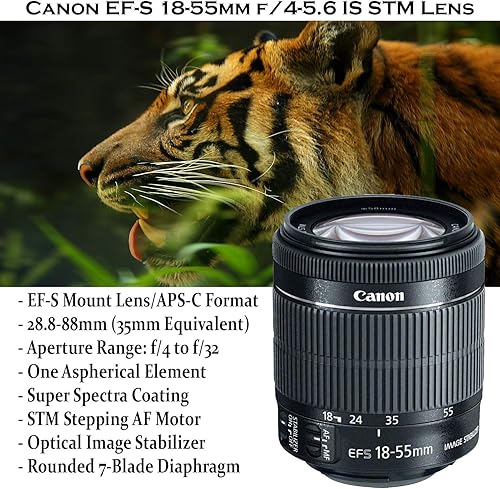 Miniatura 2 de Canon Paquete de cámara DSLR EOS Rebel SL3 con lente Canon EF-S STM de 0.709-2.165 in + memoria Sandisk de 32 GB + funda de cámara + flash digital +