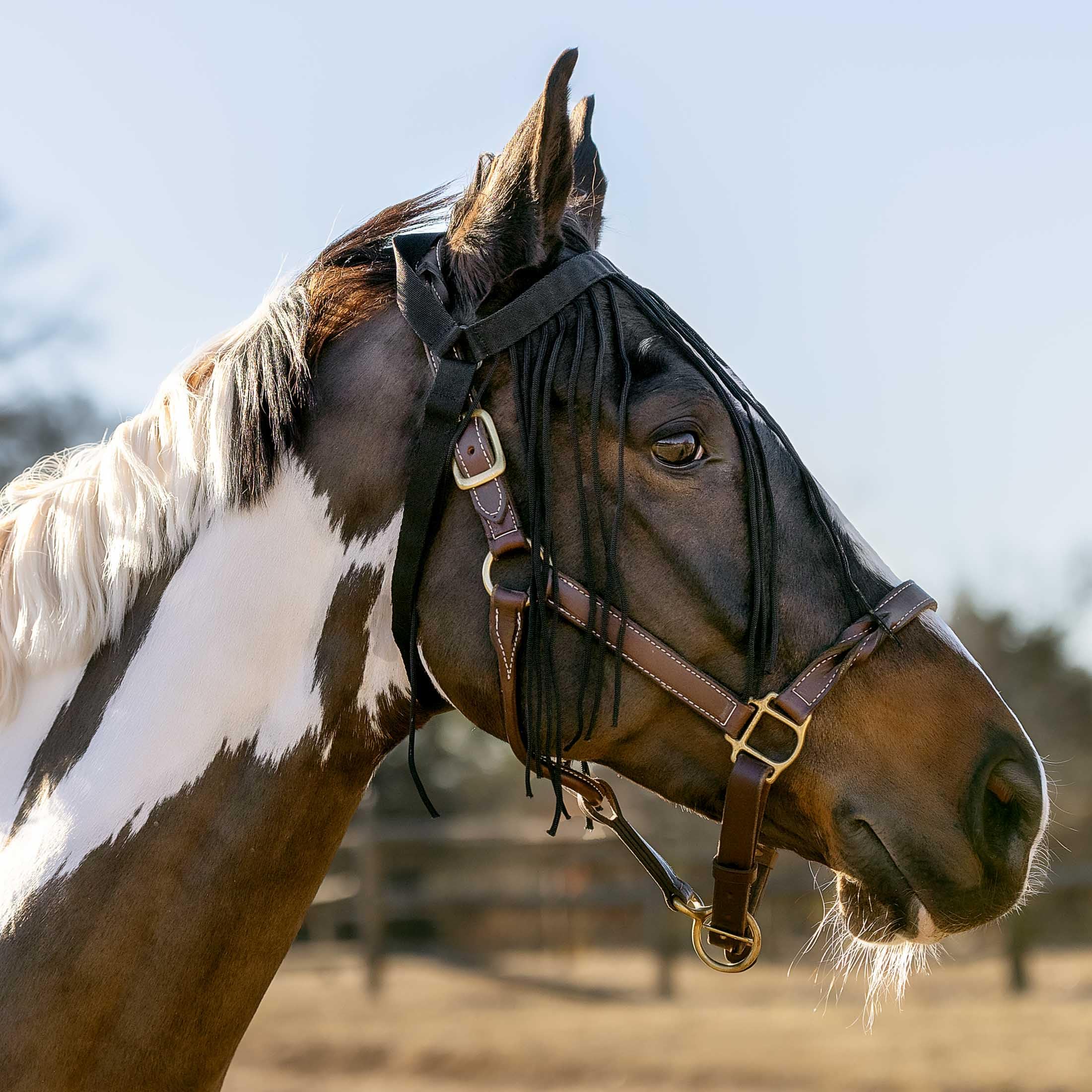 Horze Pferde Fliegenfransen, Insektenschutz für Pferd und Pony