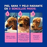 Ver la foto 6
