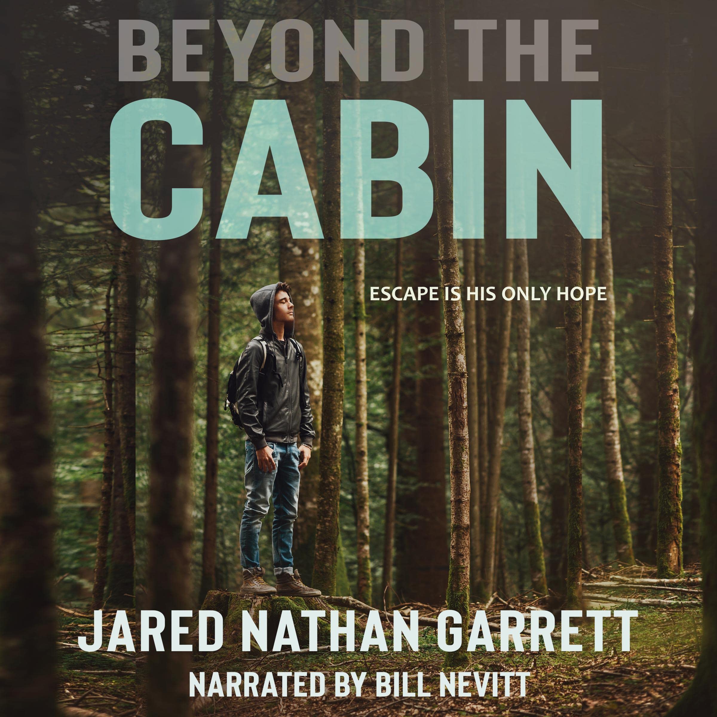 Cover art for Beyond the Cabin