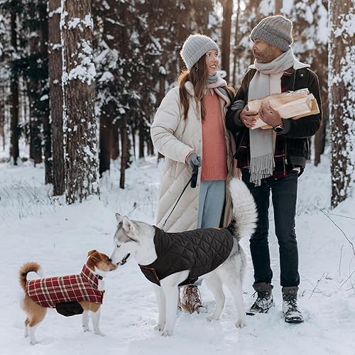 Miniatura 7 de Kuoser - Acogedor chaleco de invierno para perro, impermeable, resistente al viento, reversible, estilo británico, abrigo cálido para perros, para