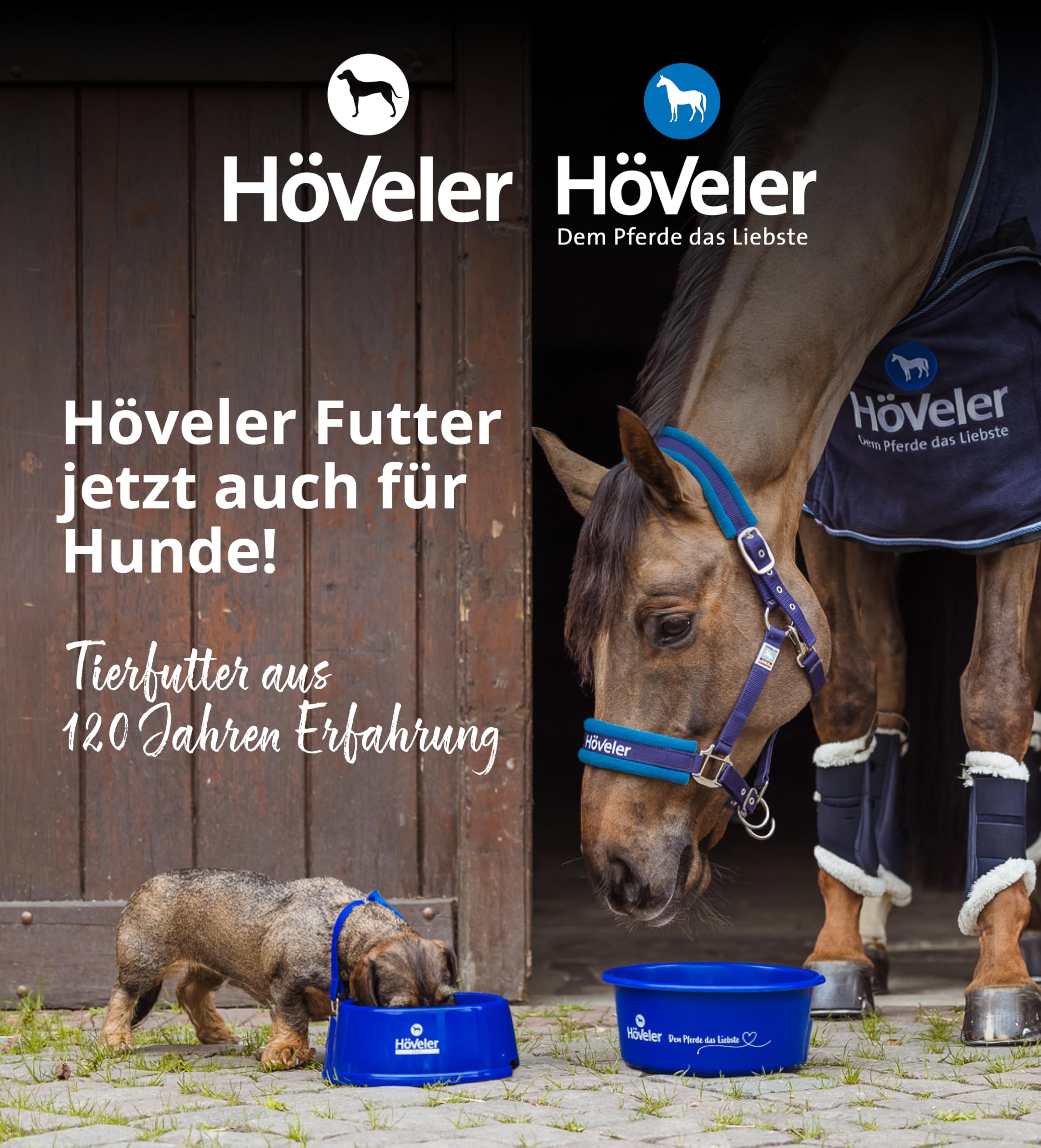 Höveler Dog DARM Plus 150 g – Ergänzungsfuttermittel für Hunde – mit Probiotika und Präbiotika – Unterstützung des Verdauungstraktes