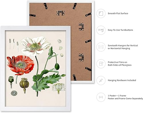 Miniatura 411 de Poster Master Póster vintage de orquídea, estampado de flores retro, arte de pared de plantas exóticas, arte botánico, regalo para hombres y