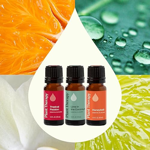 Miniatura 3 de Plant Therapy Tropical Scents Home - Juego de 3 mezclas de aceites esenciales que incluyen aromas naturales para perfumar tu hogar con campana de