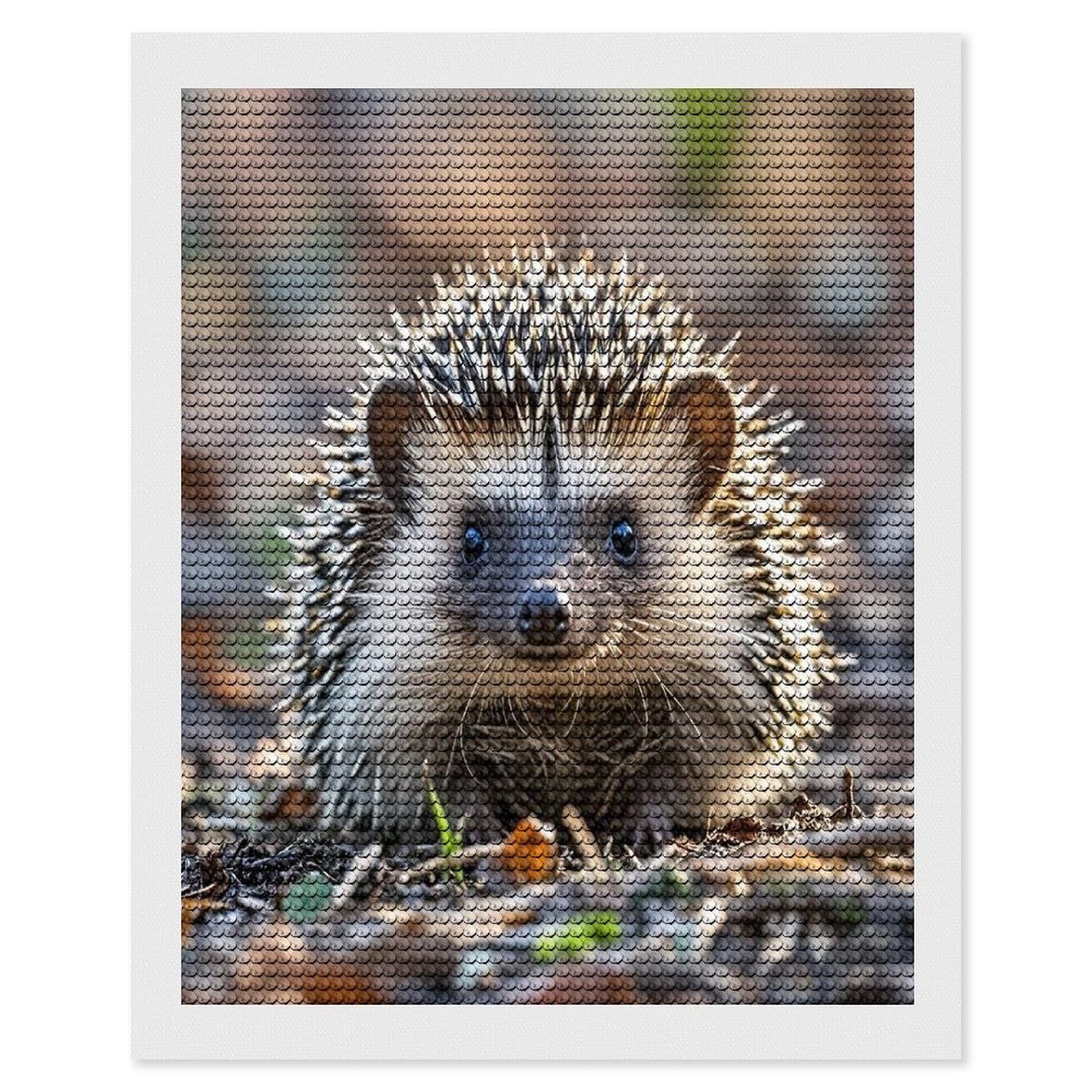 FekiLoot Hedgehog Diamond Painting Kits for Beginners DIY Diamond Art Kits for Adults Full Drill Round Diamond Dot Gem Art Painting Fun DIY Crafts for Home Kitchen Wall Decor Gift 16"x20"