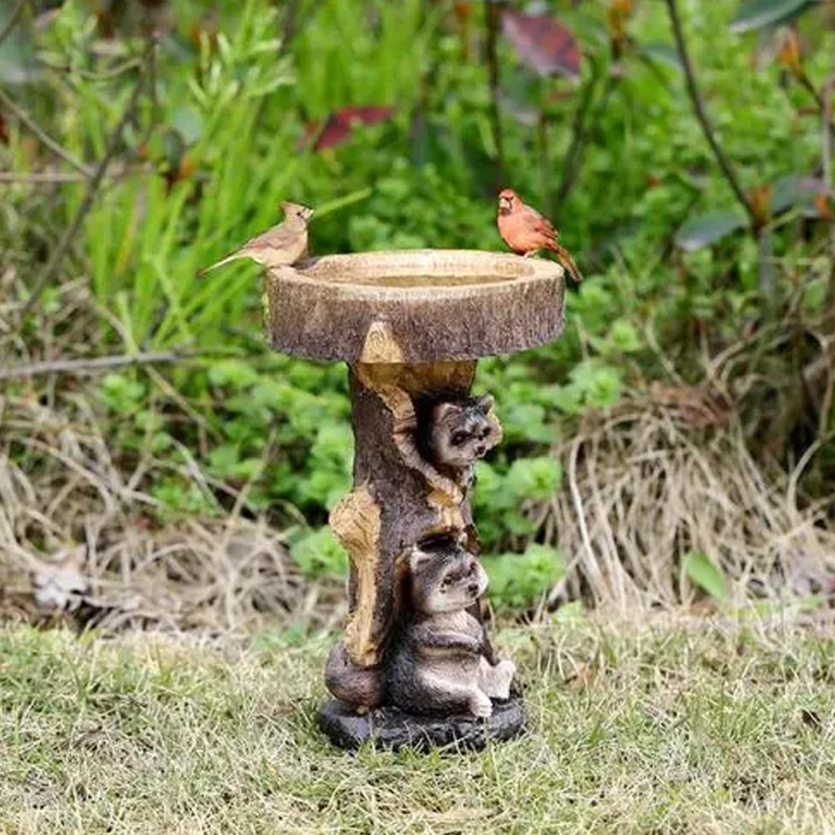 Ciotola da Bagno per Uccelli Resina Procione Ornamenti da Giardino Giardino Artificiale Mangiatoia per Uccelli Decorazione in Piedi Ciotola per Vasca da Bagno per Animali Vasche da per EST