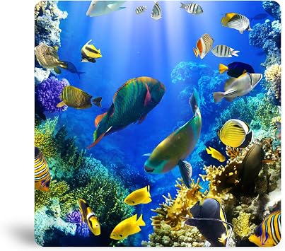 Sunlight Art "Coral Reef Suncatcher 11"x11" Window Panel, Sunlit Splendor Brings the Beauty and Wonder of the Ocean World Into Your Home as a Window Display, Similar to Stained Glass Art