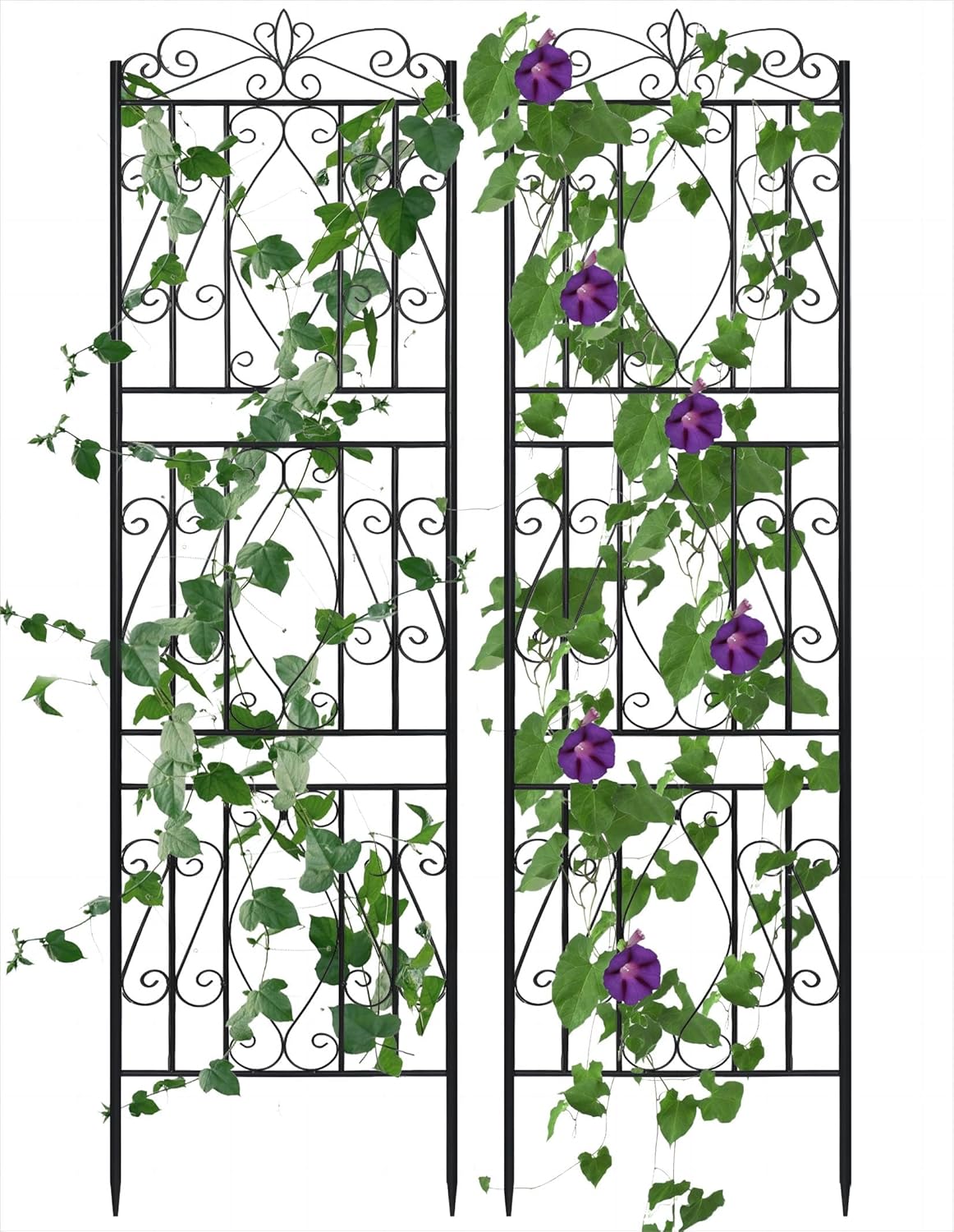 Garden Trellis Decorative Outdoor: 71 inch Tall Metal Fence Black Lattice Panel Yard Corner Décor for Climbing Plant Flower Mandevilla Jasmine Moonflower Honeysuckle (2 Pack)